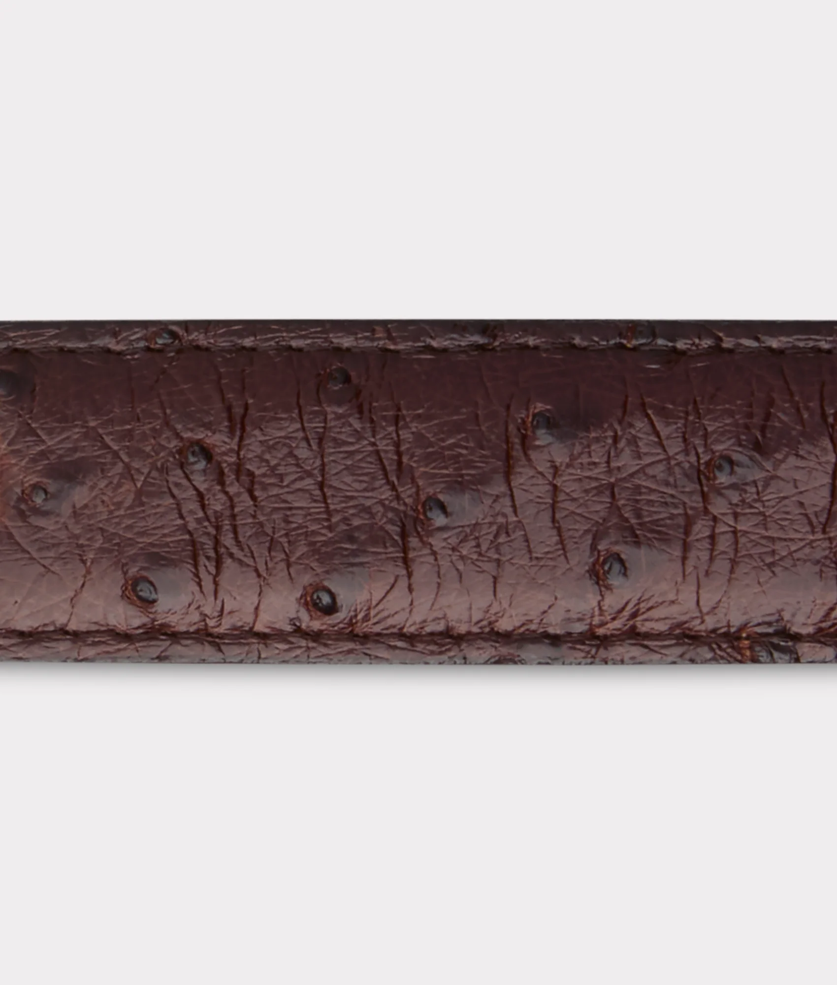 Full Quill Ostrich Tapered :: Sienna - Image 5