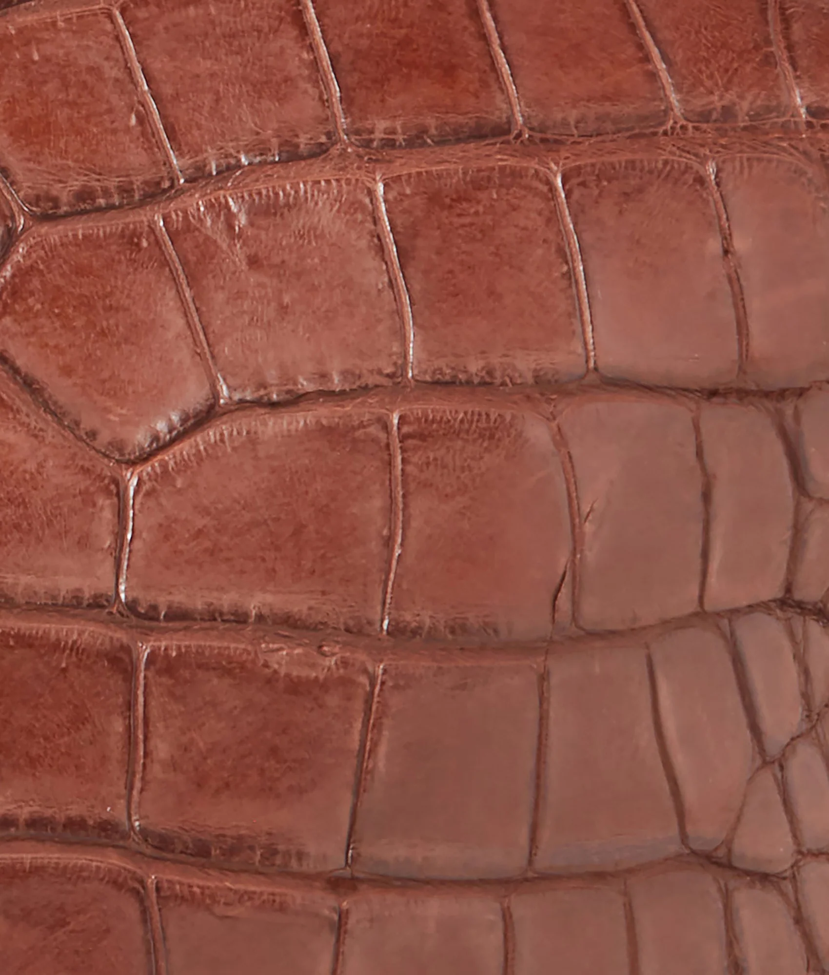 Giant Gator Duffle – Large :: Chocolate - Image 9