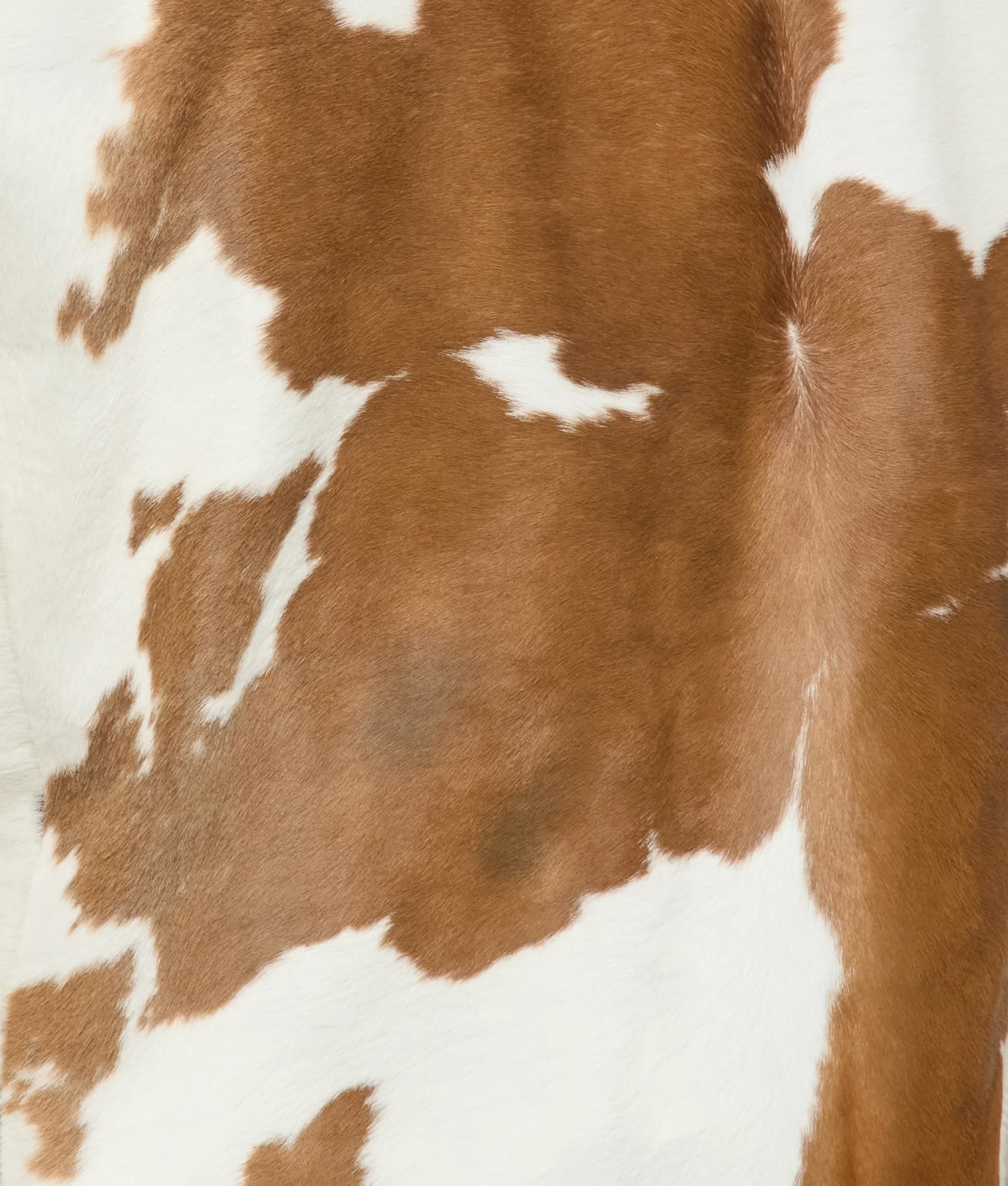 Gordon Vest :: Multi - Image 6