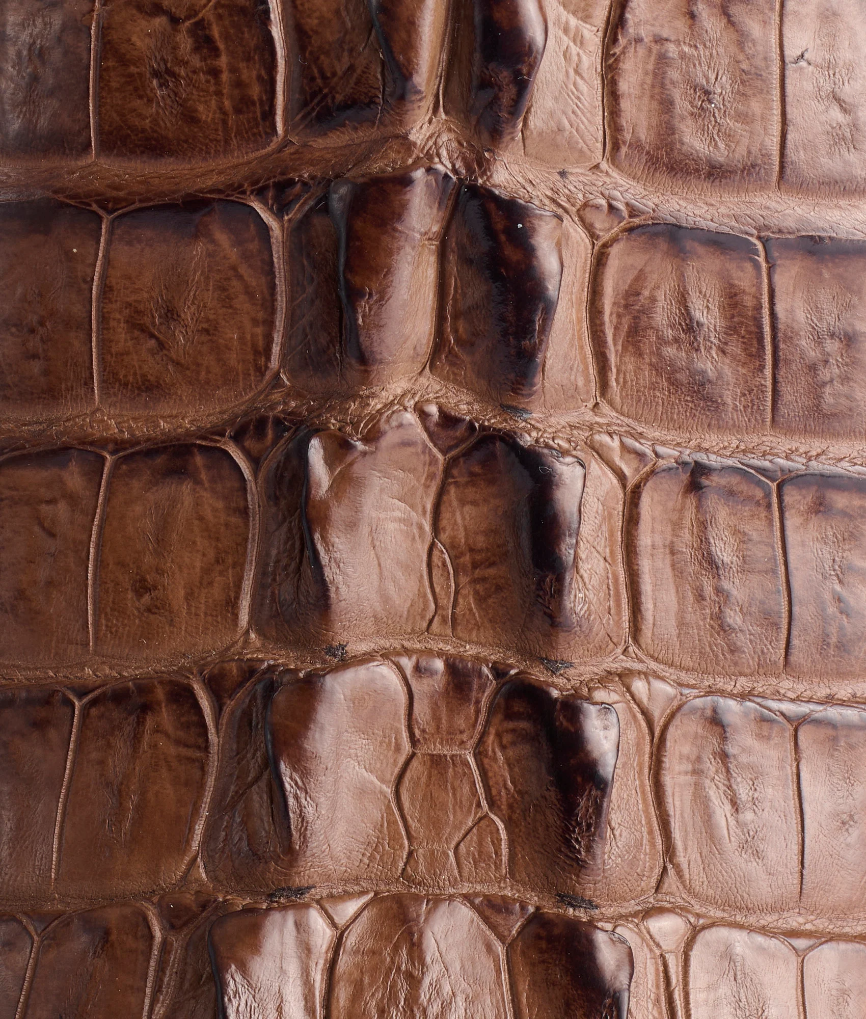 Haan :: Tan + Chocolate - Image 8