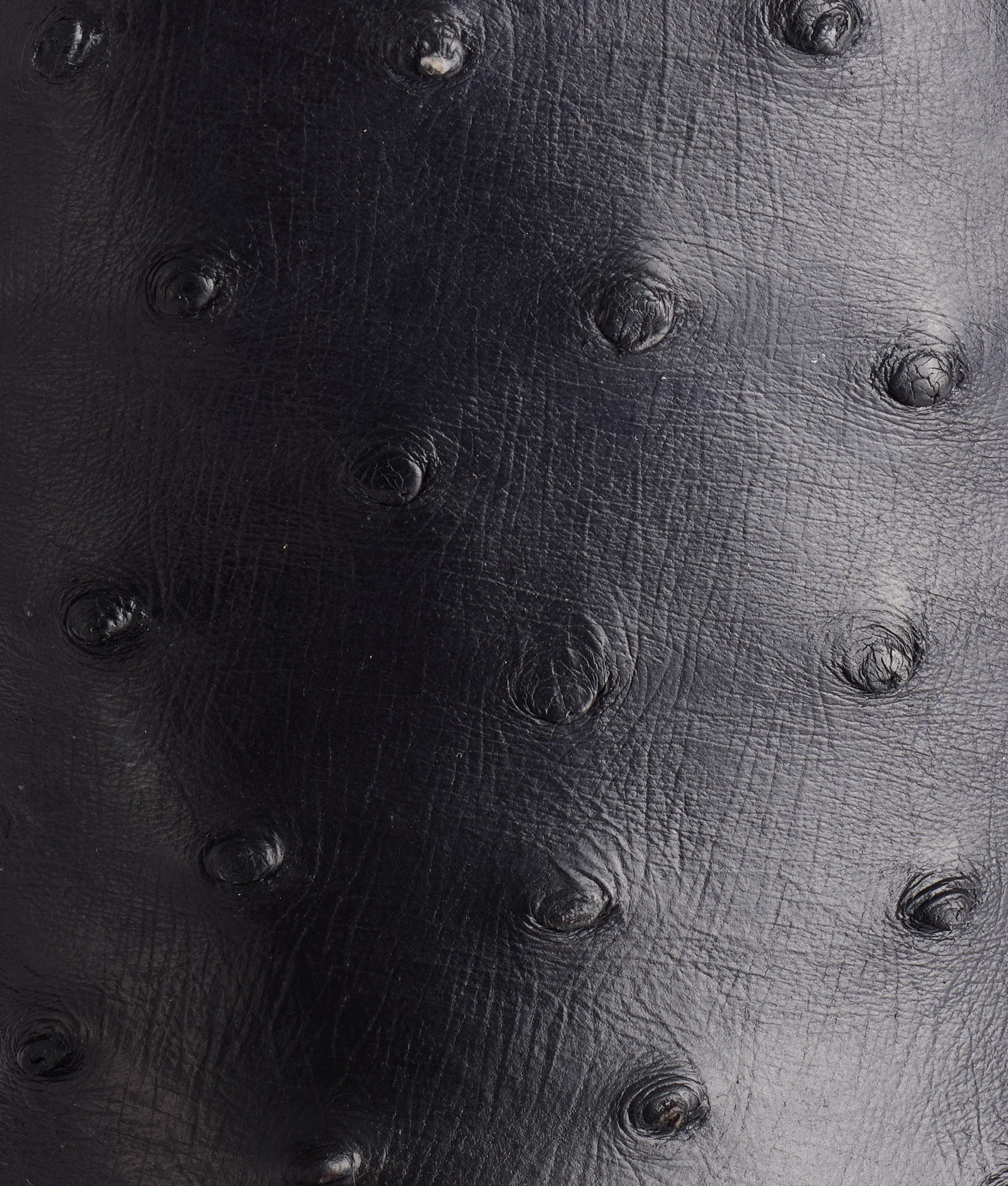Harmon :: Black - Image 8