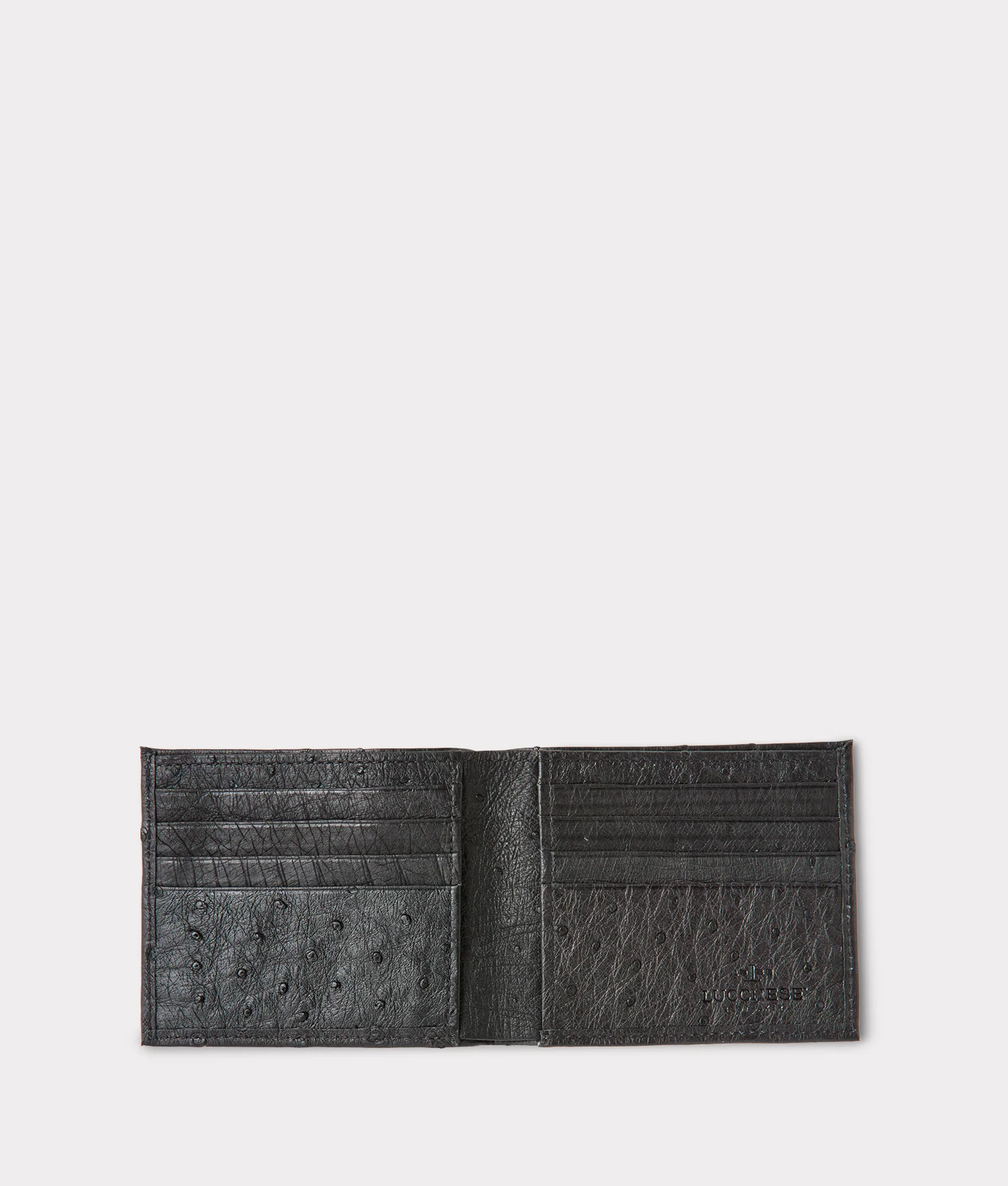 Hipster Wallet – Ostrich :: Black - Image 3