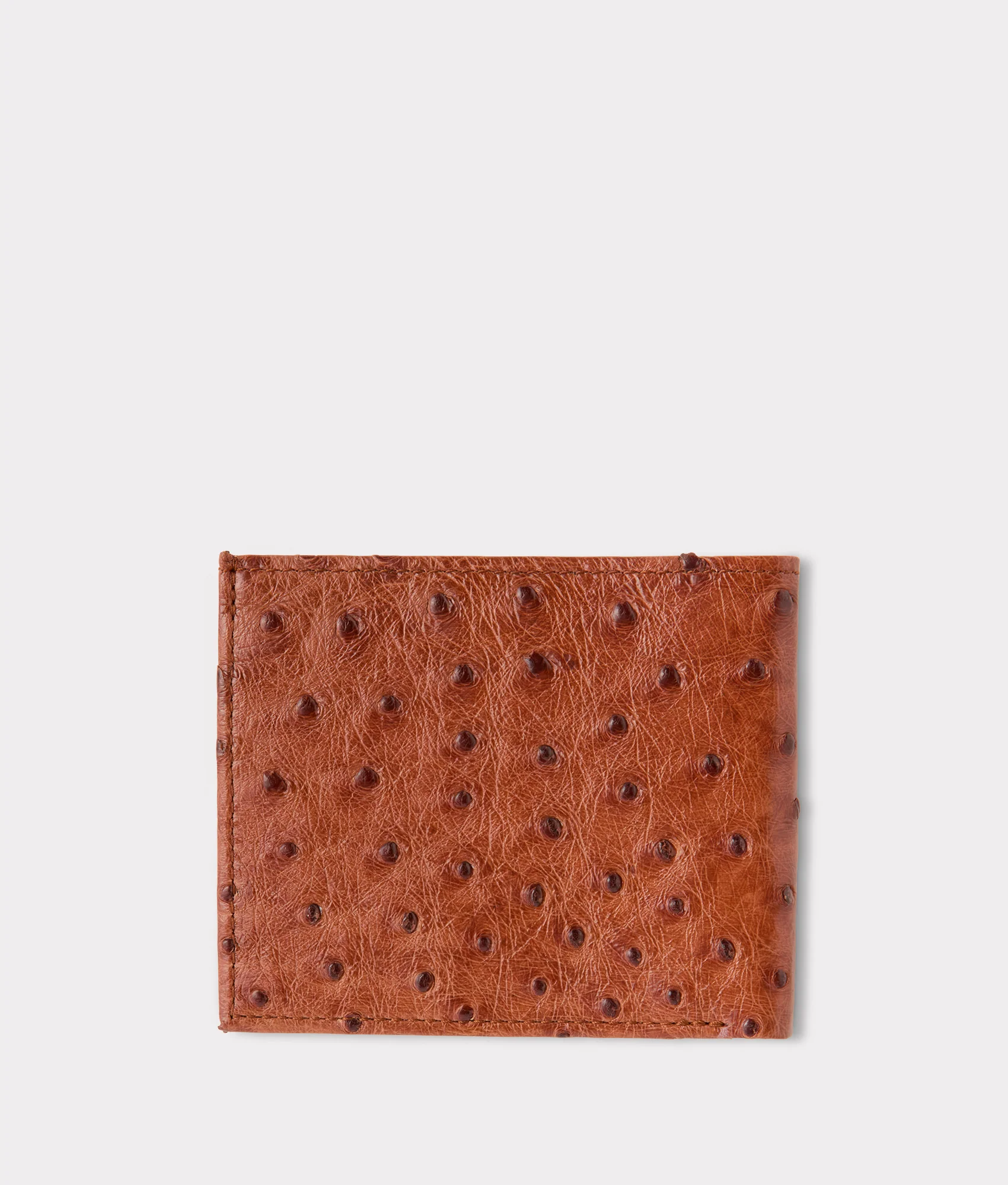 Hipster Wallet – Ostrich :: Cognac - Image 2