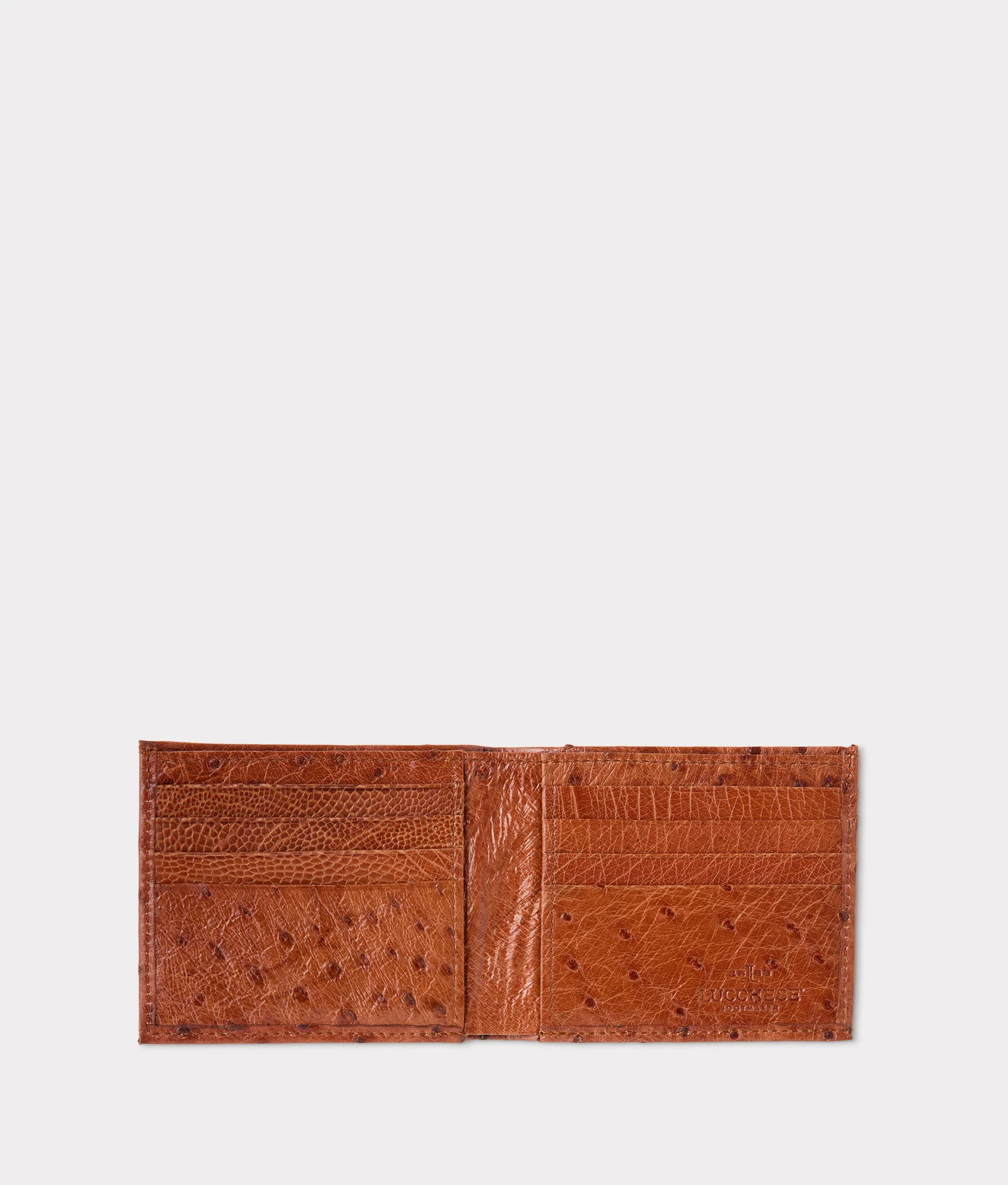 Hipster Wallet – Ostrich :: Cognac - Image 3