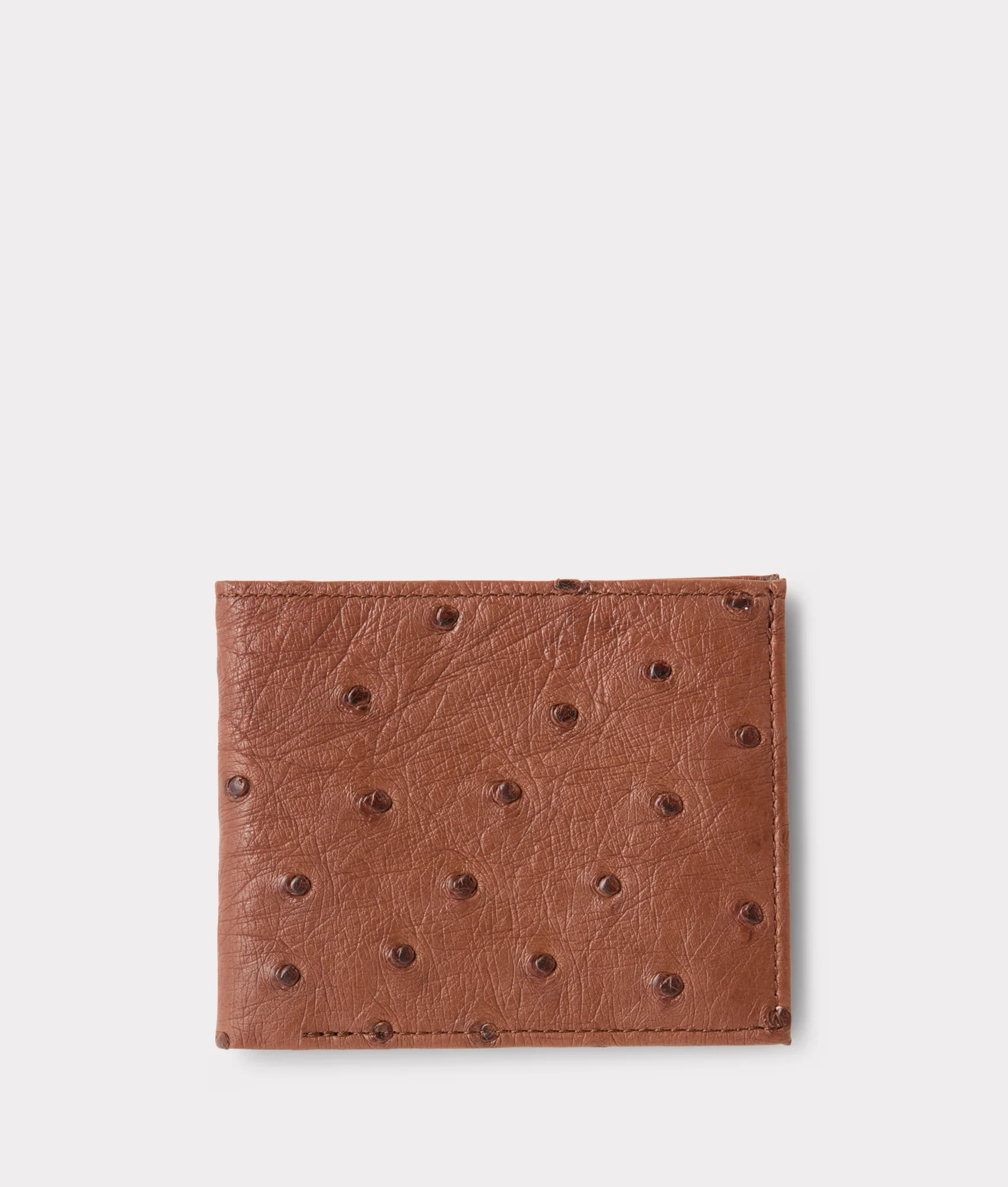Hipster Wallet – Ostrich :: Sienna