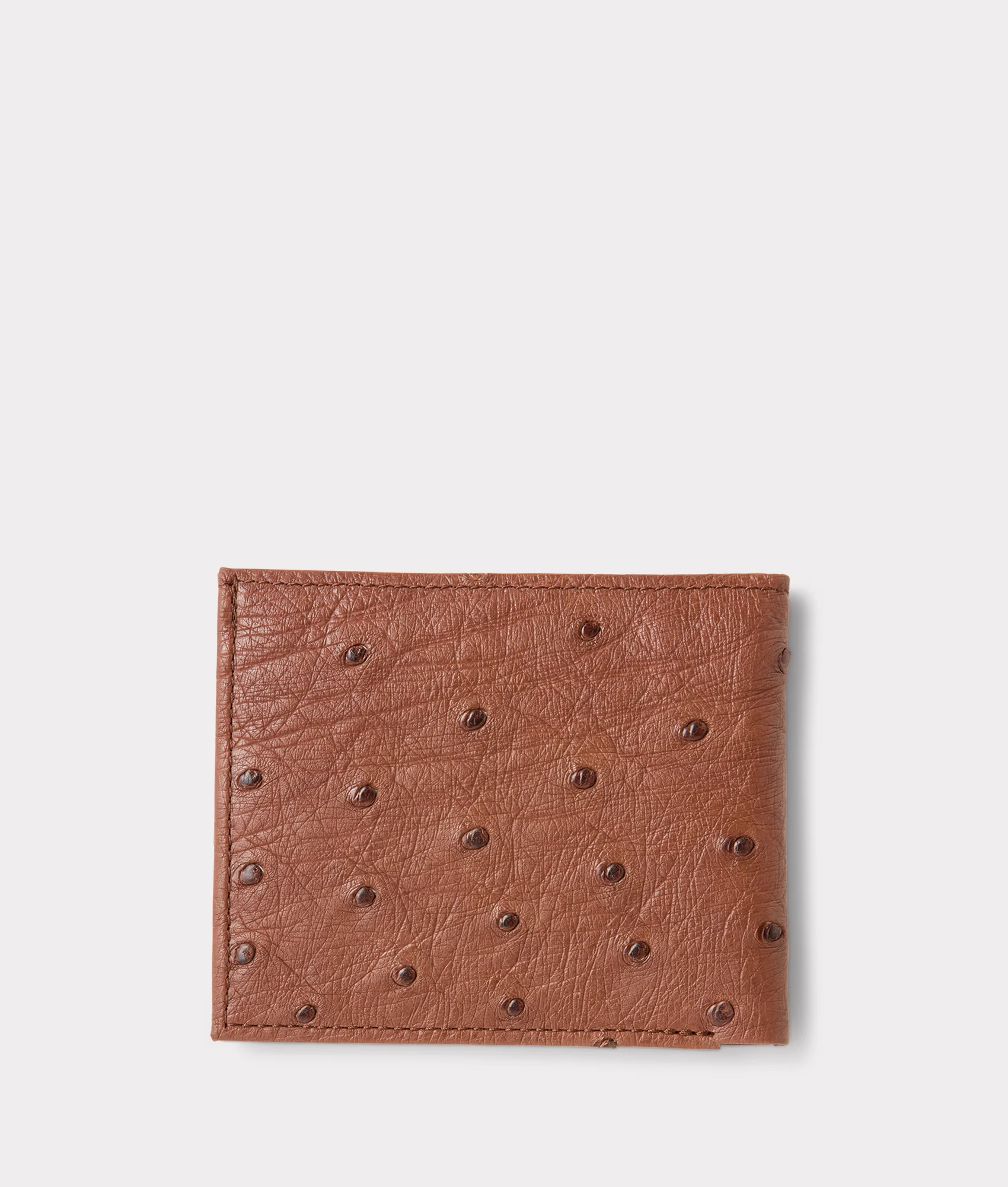 Hipster Wallet – Ostrich :: Sienna - Image 2