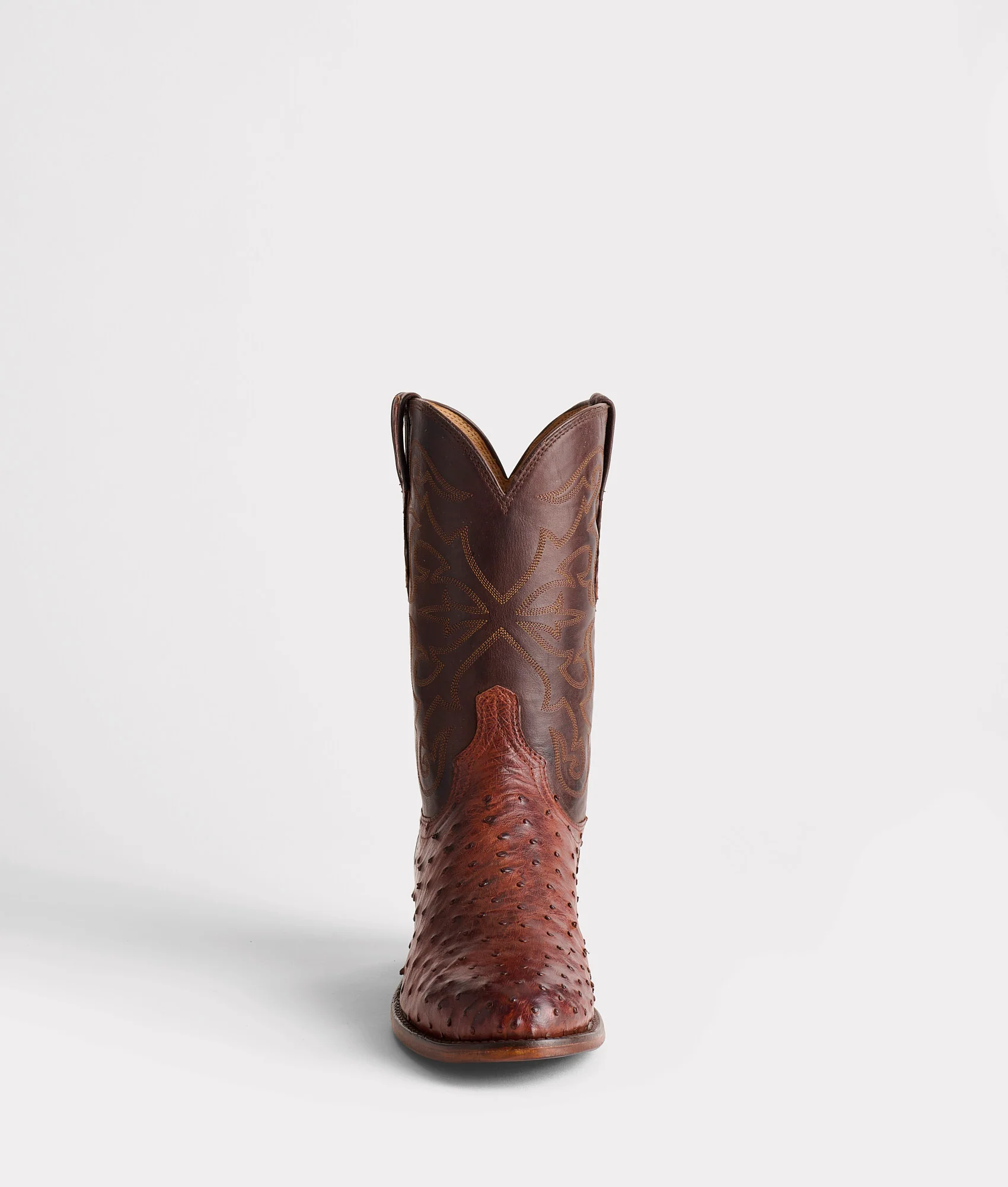 Hudson :: Chocolate - Image 4