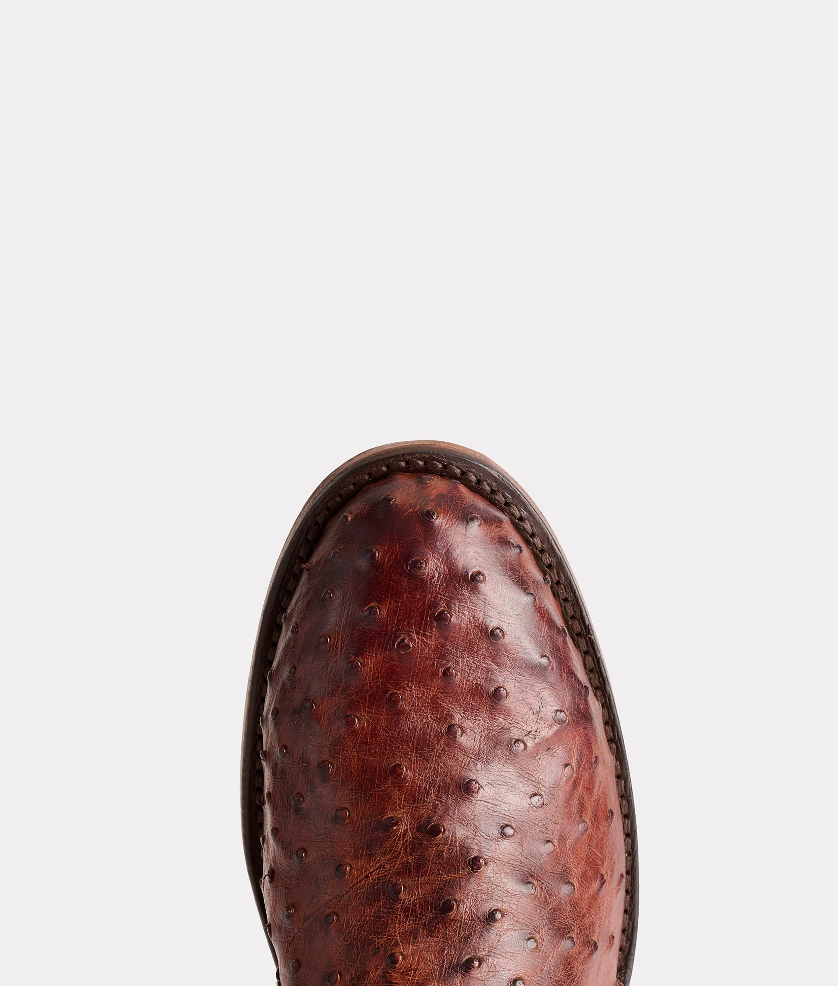 Hudson :: Chocolate - Image 7