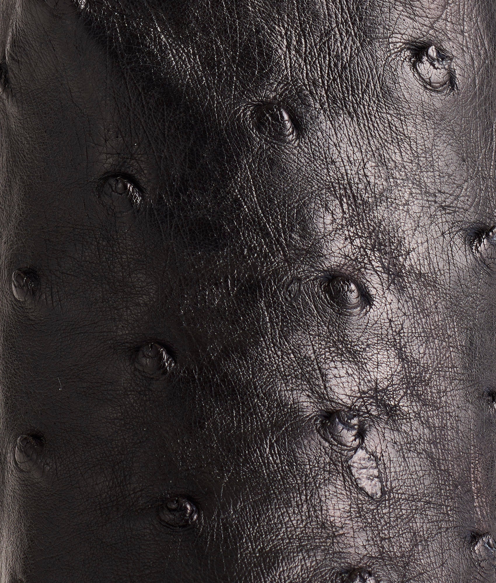 Josephine :: Black + Anthracite Grey - Image 8