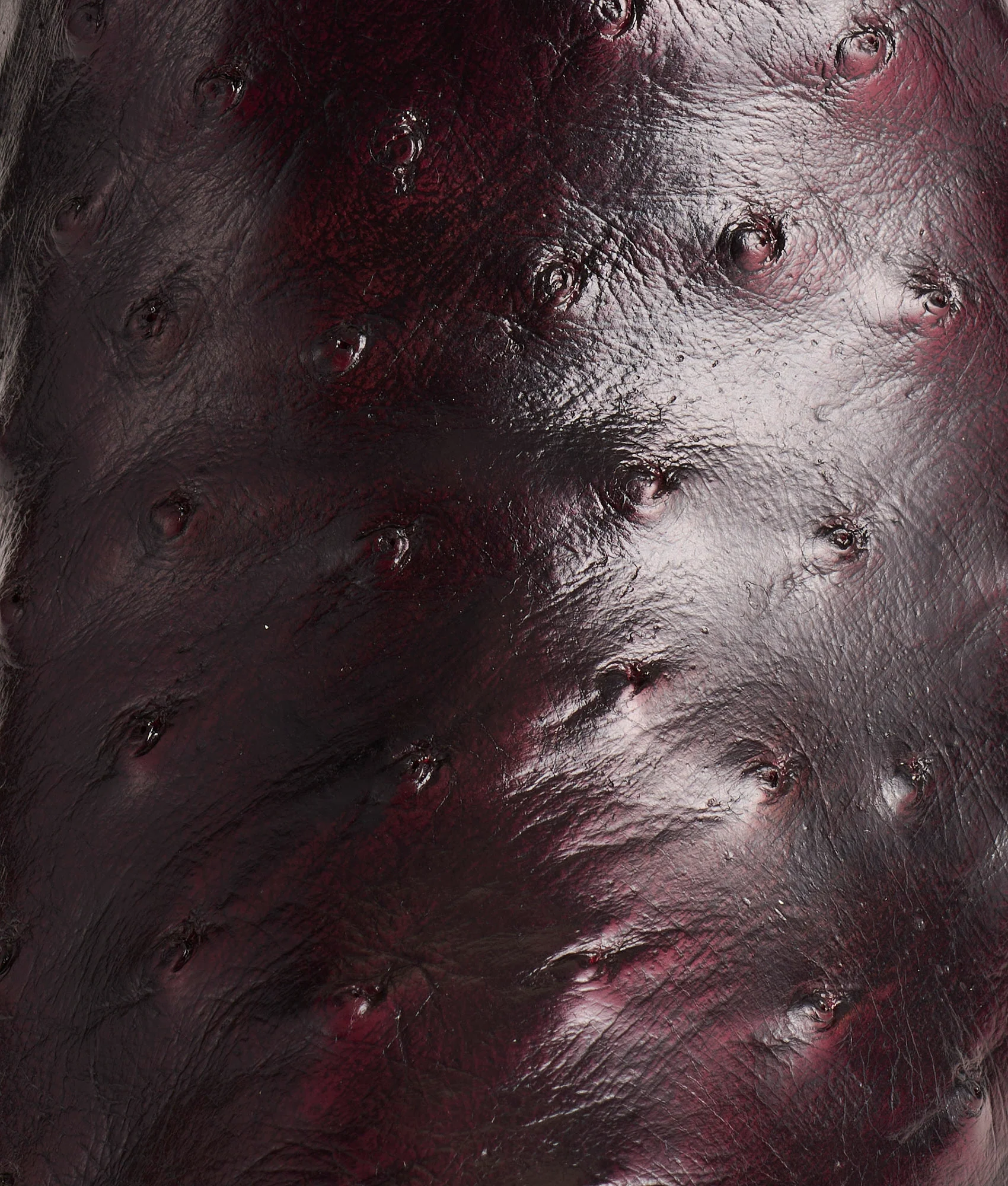 Josephine :: Black Cherry - Image 10
