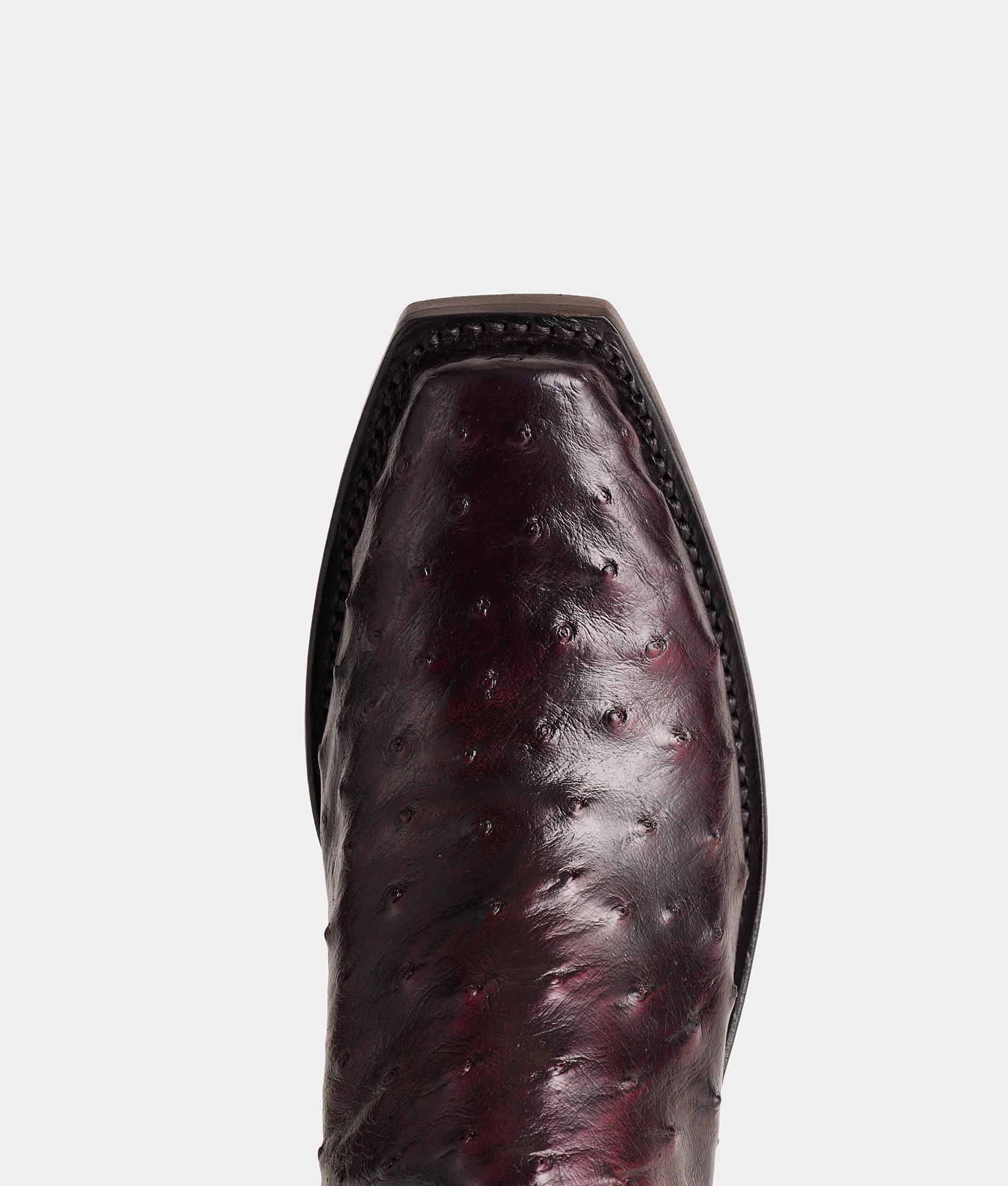 Josephine :: Black Cherry - Image 8