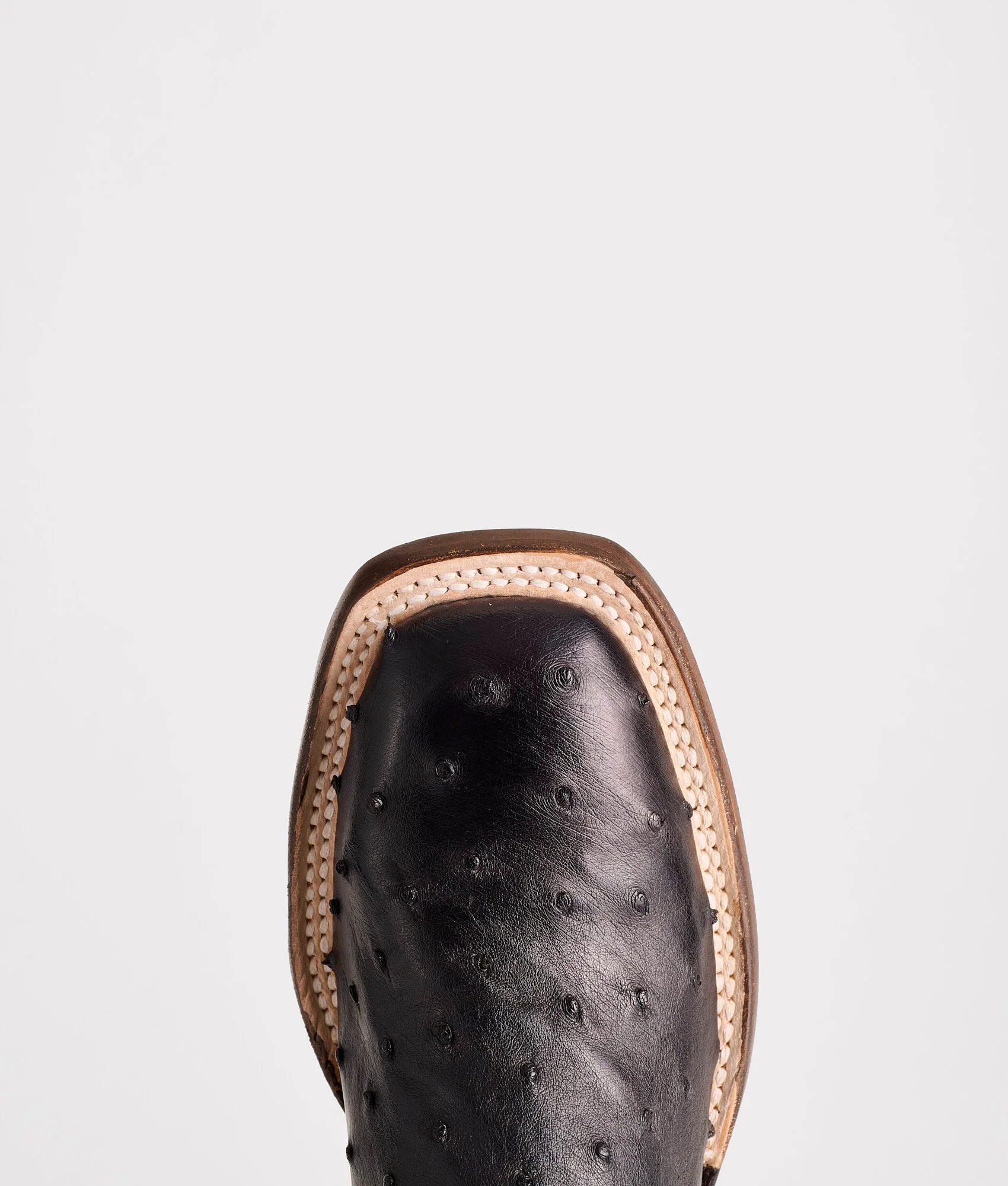 Josephine Horseman :: Antique Black - Image 7