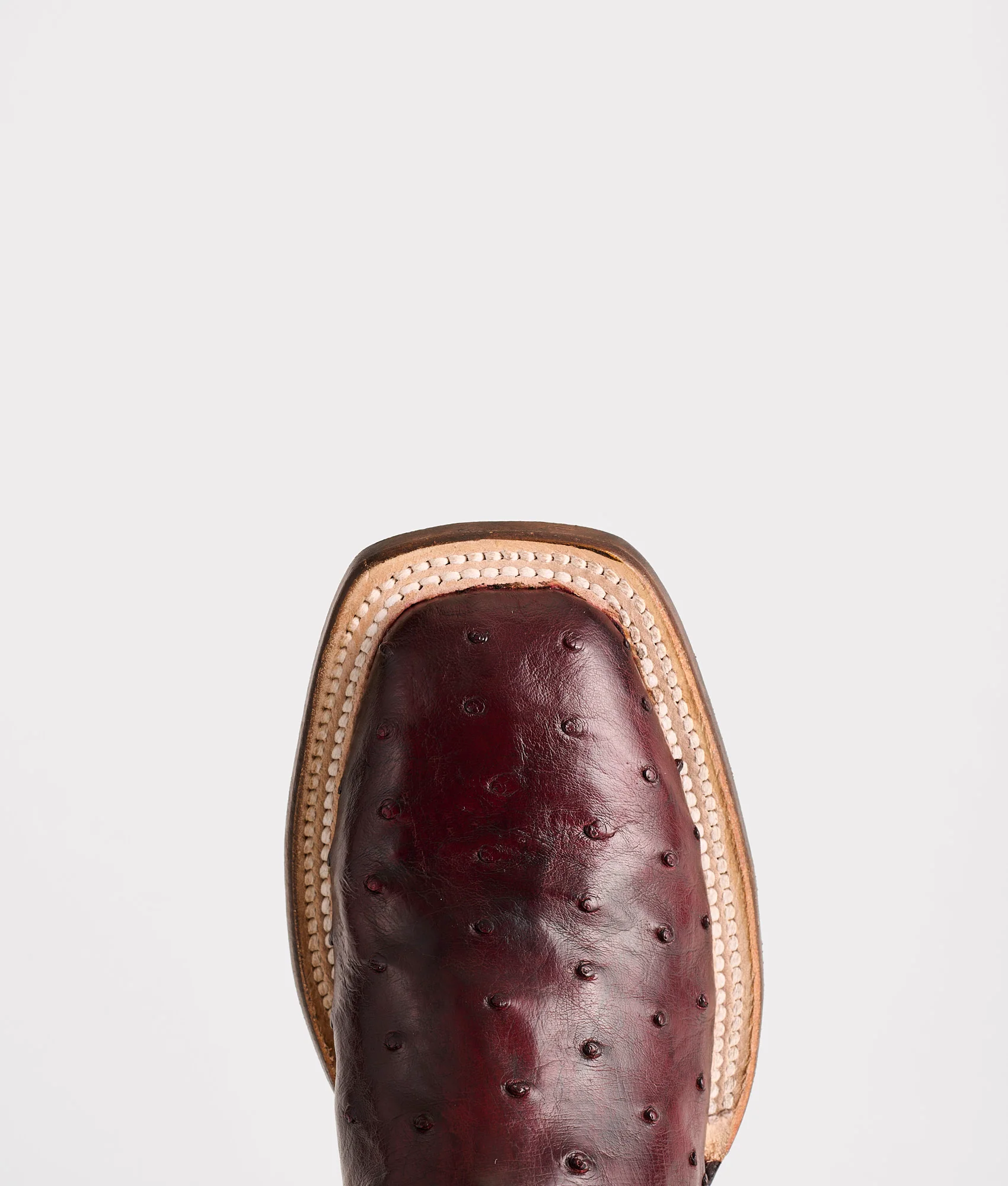 Josephine Horseman :: Antique Black Cherry - Image 7