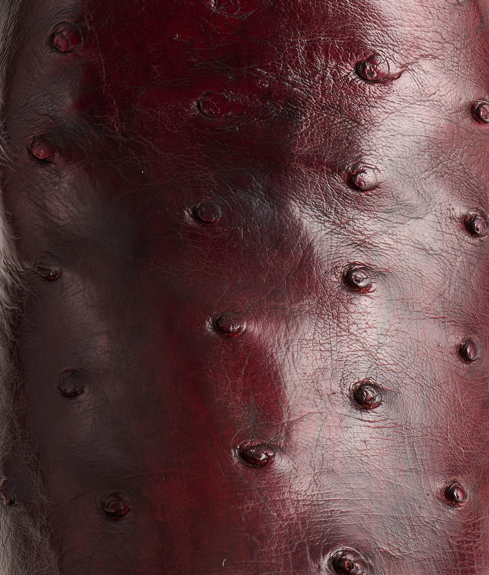Josephine Horseman :: Antique Black Cherry - Image 8