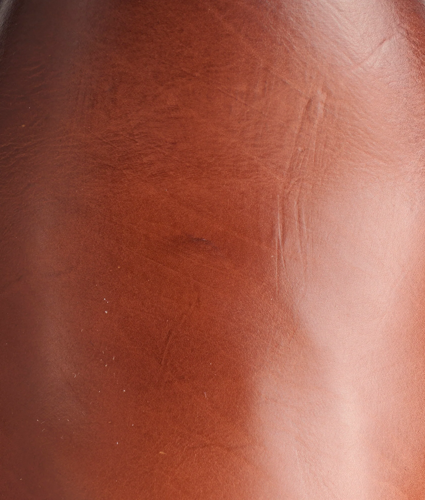 Knox :: Dark Brown - Image 9