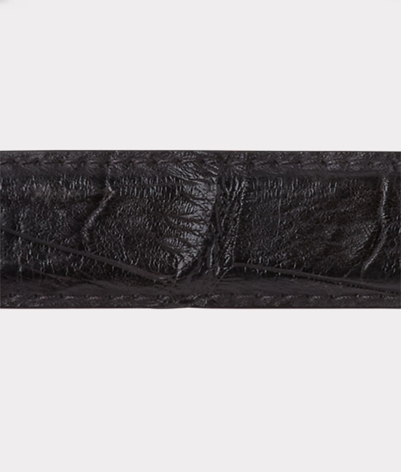 Lady Belt :: Black - Image 4