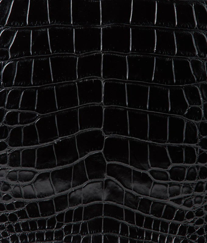 Large Alice Exotic Book Tote :: Black - Image 7