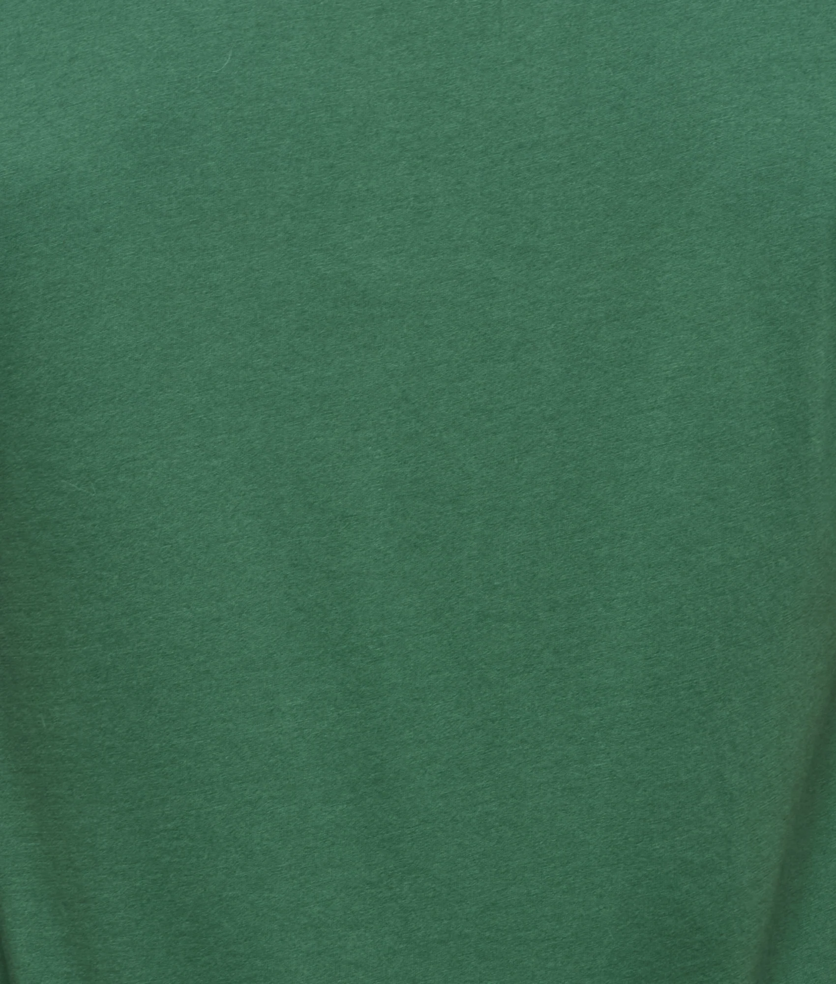 Lucchese Crew Neck Tee :: Loden Green - Image 6