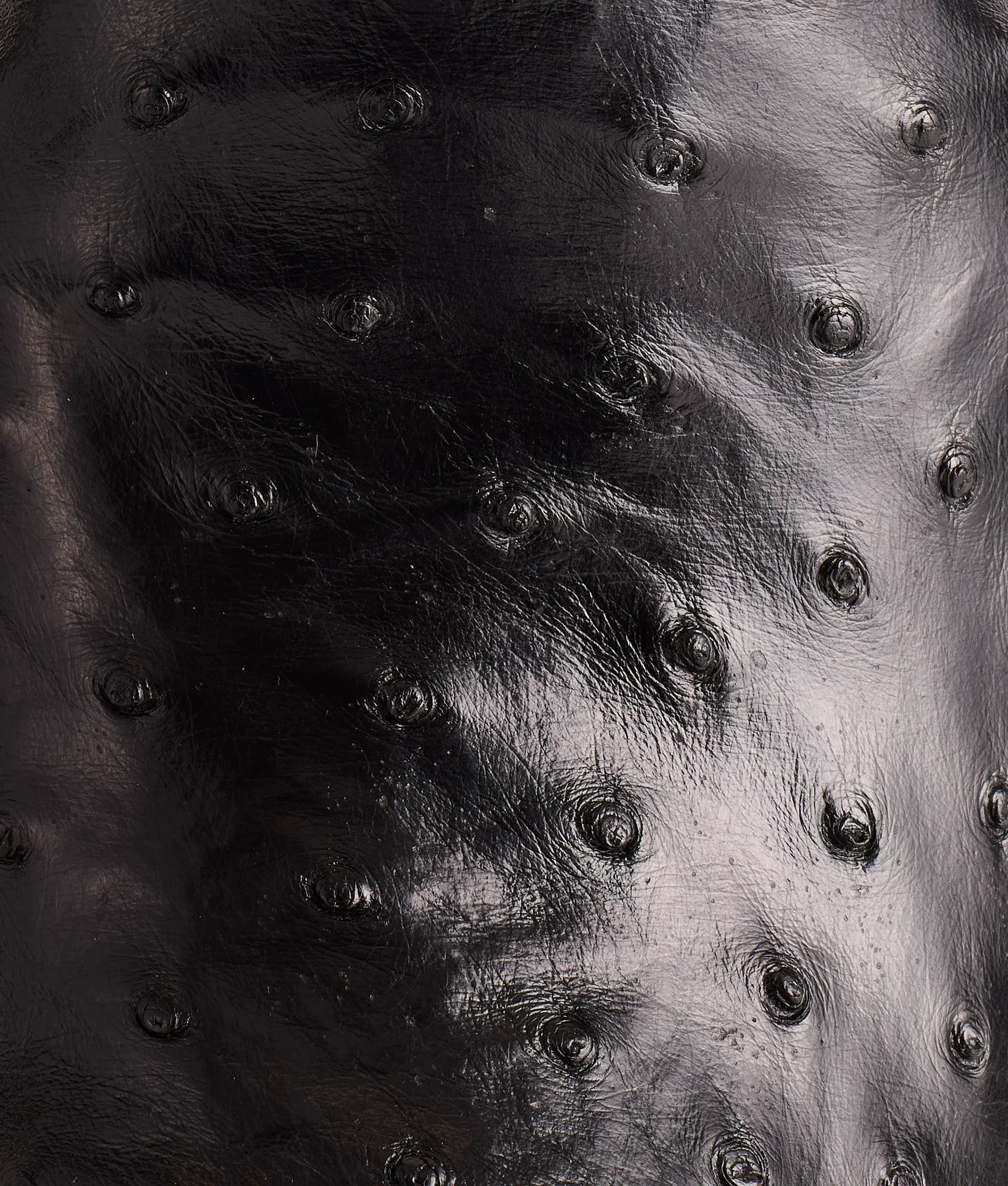Luke :: Black - Image 8