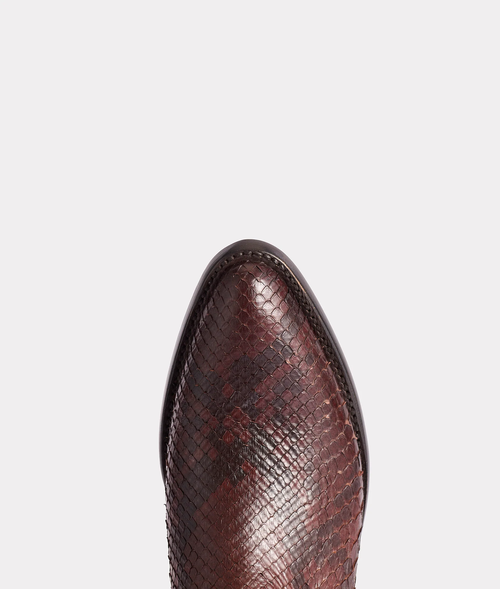 Stella :: Chocolate - Image 7
