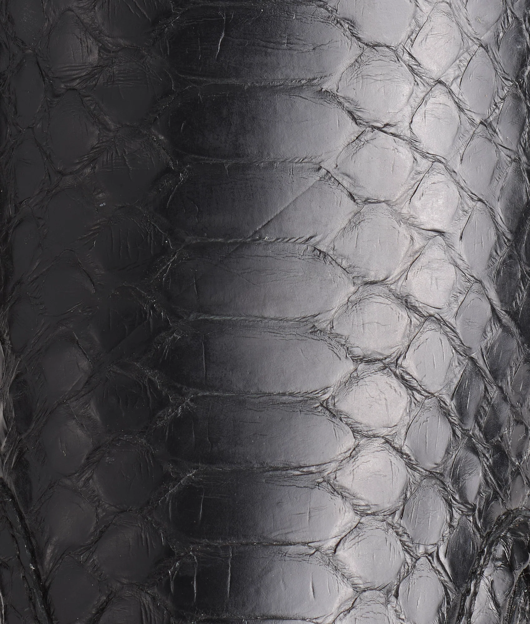 Mosaico Slip On :: Black Python - Image 8