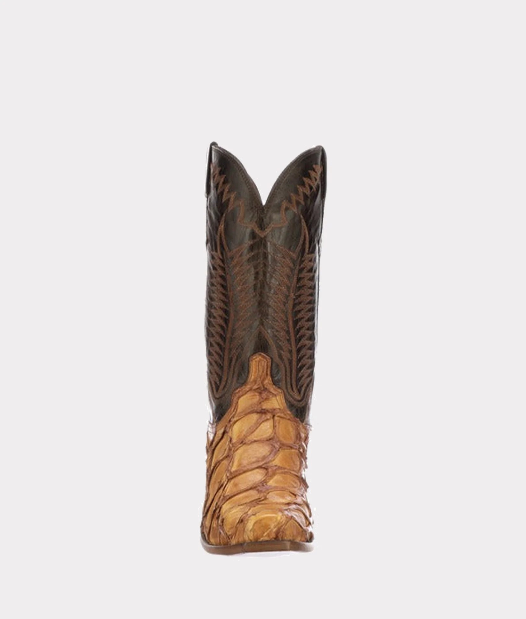 Murphy :: Cognac + Chocolate - Image 3
