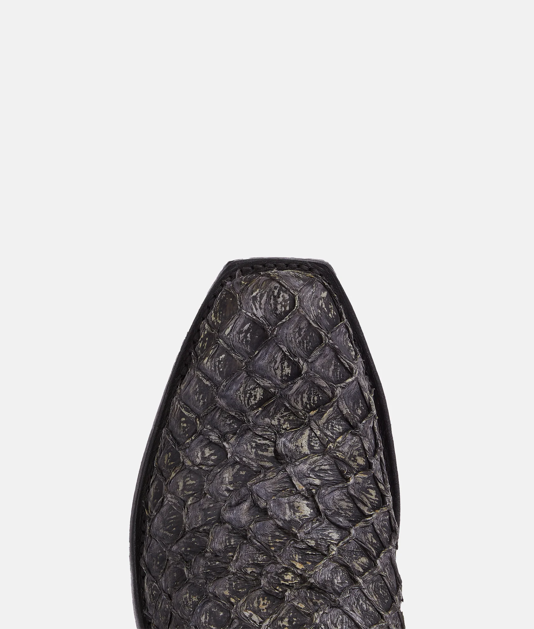 Narcisso :: Grey - Image 7