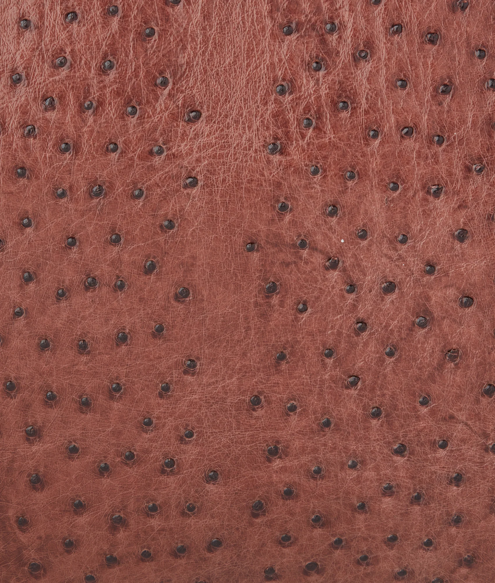 Ostrich Duffle - Large :: Chocolate - Image 7