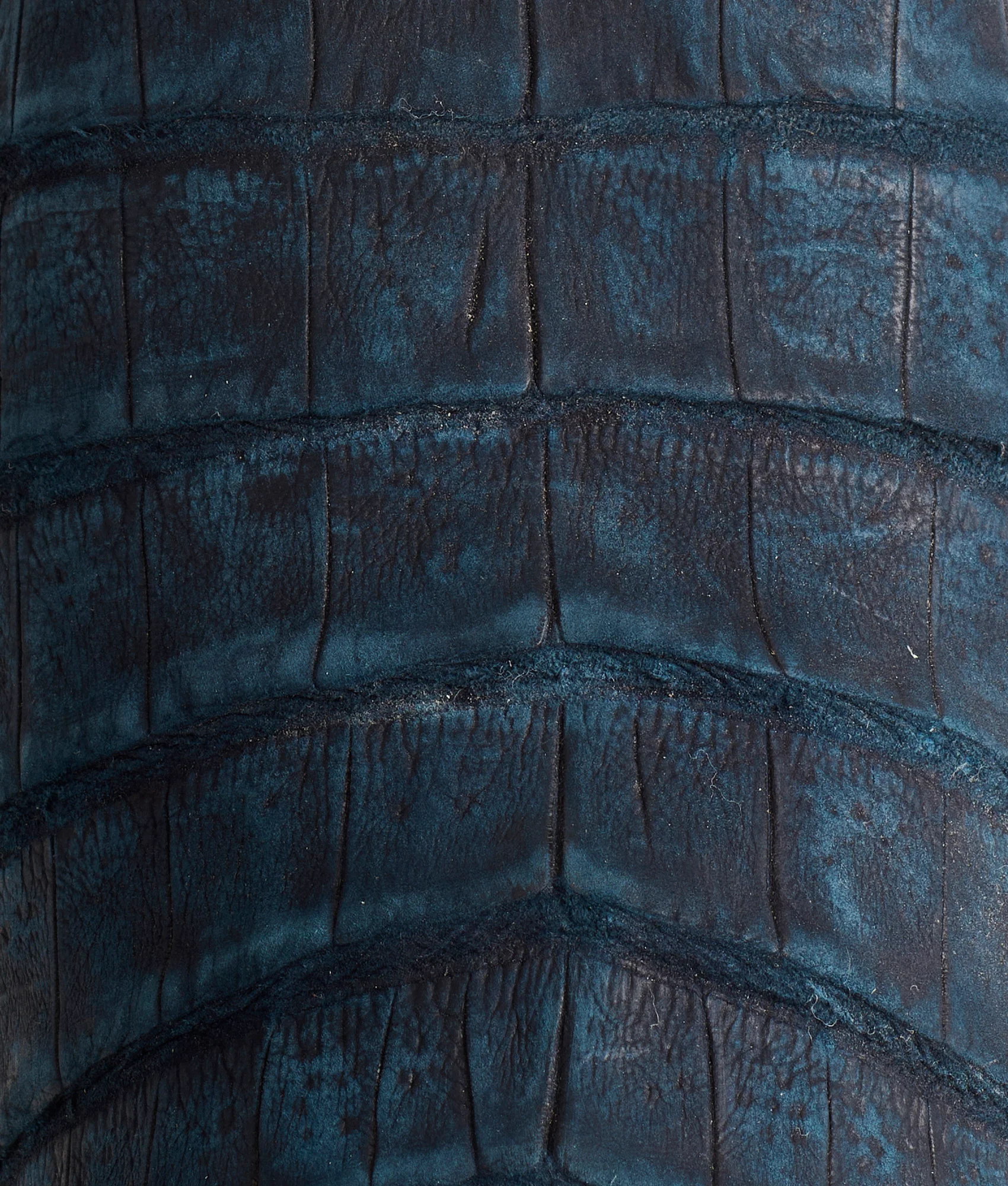 Priscilla Exotic :: Navy - Image 10