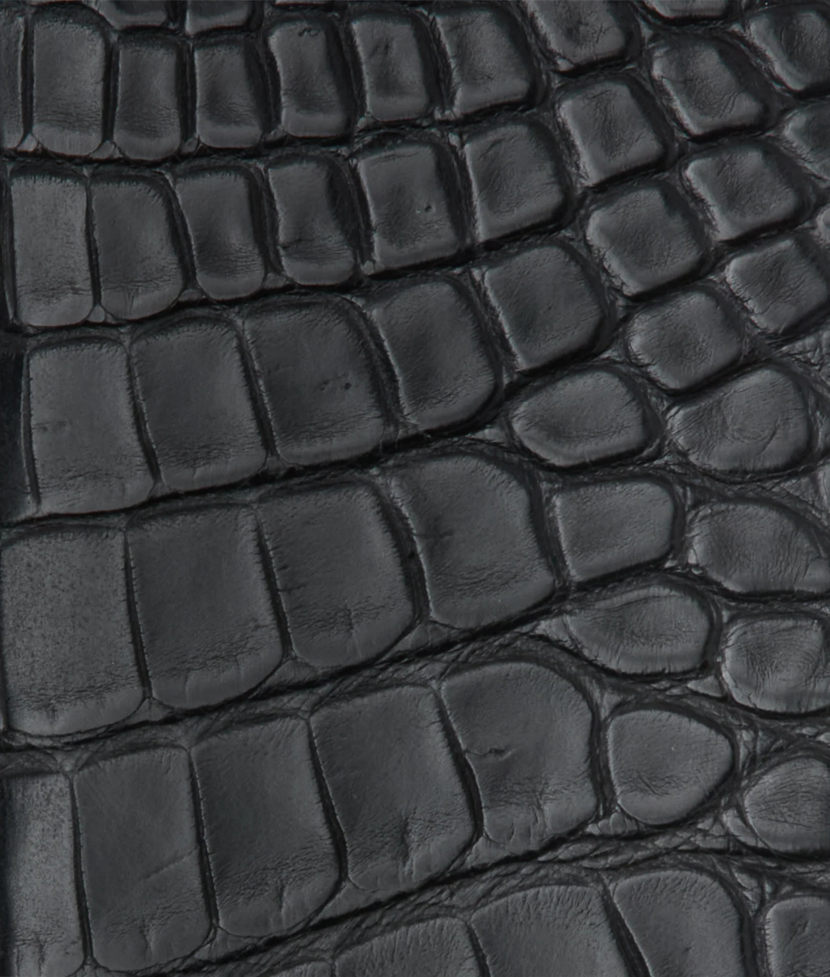 Bifold Wallet - American Alligator :: Black - Image 4