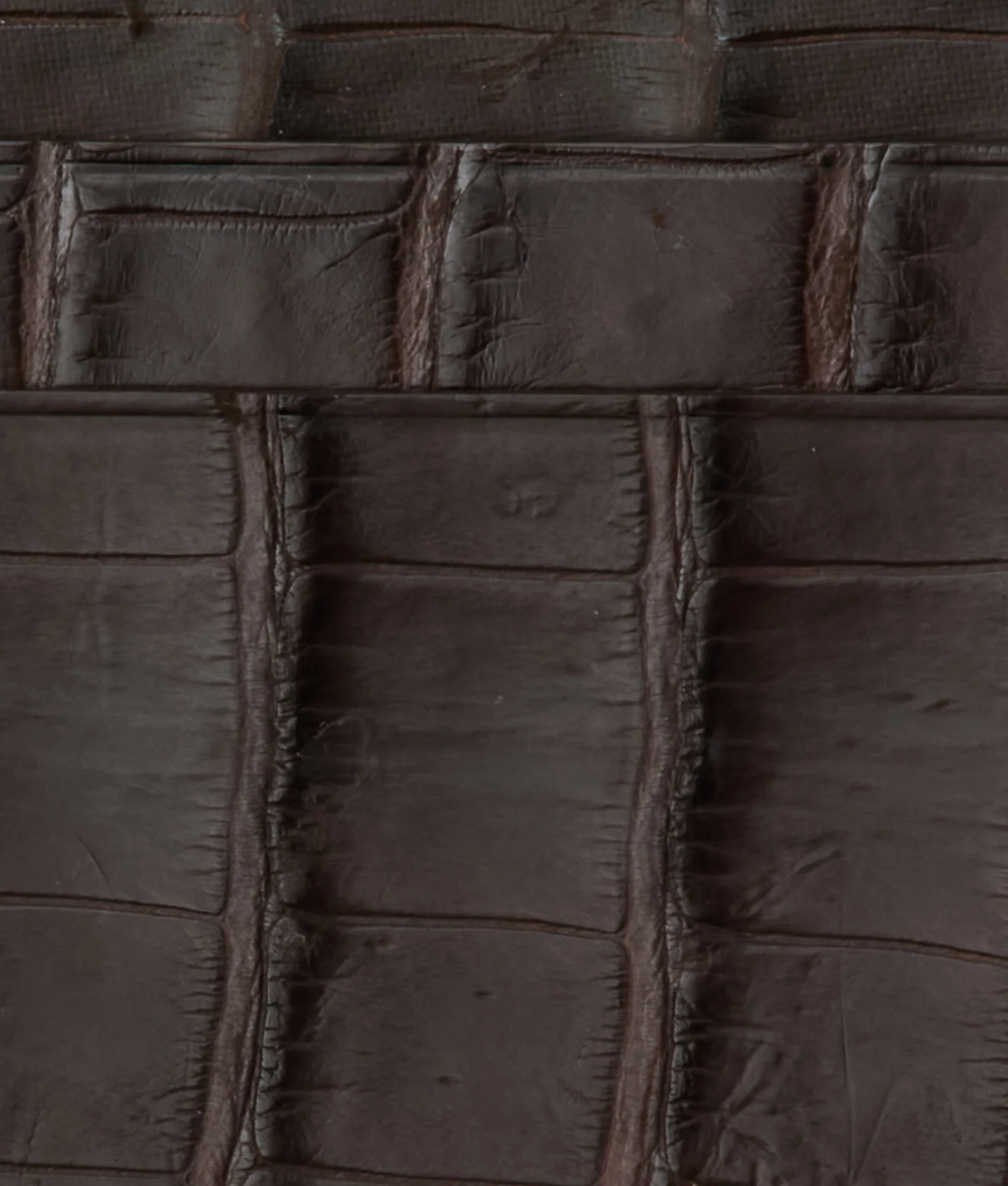 Card Case - American Alligator :: Chocolate - Image 3
