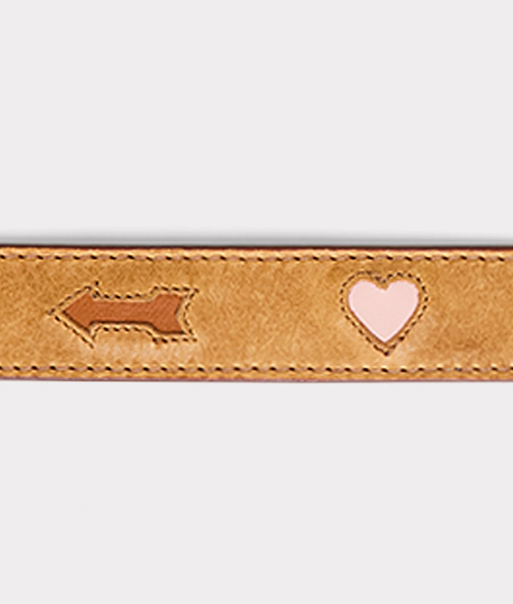 Dog Collar :: Tan - Image 3