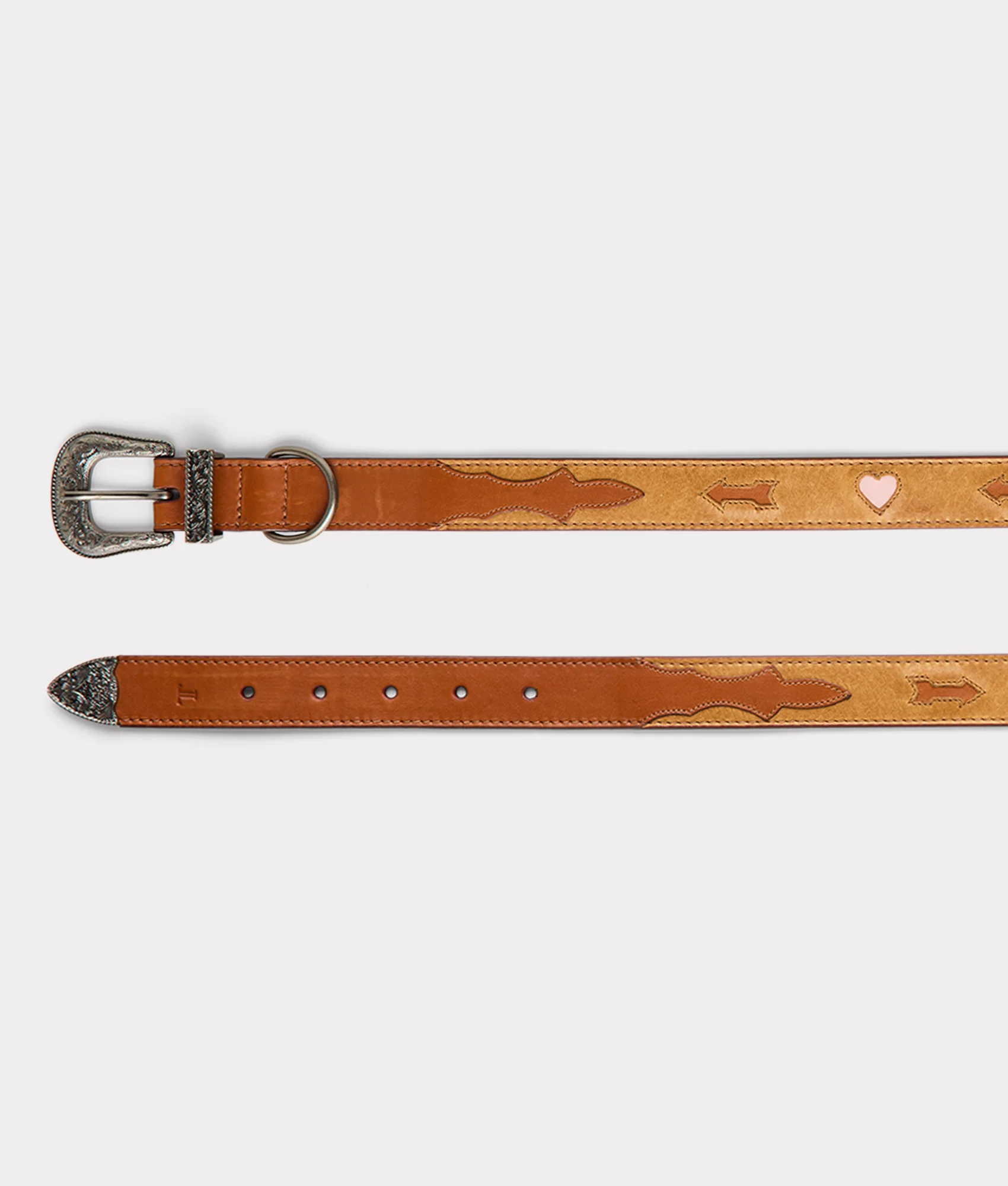 Dog Collar :: Tan - Image 5