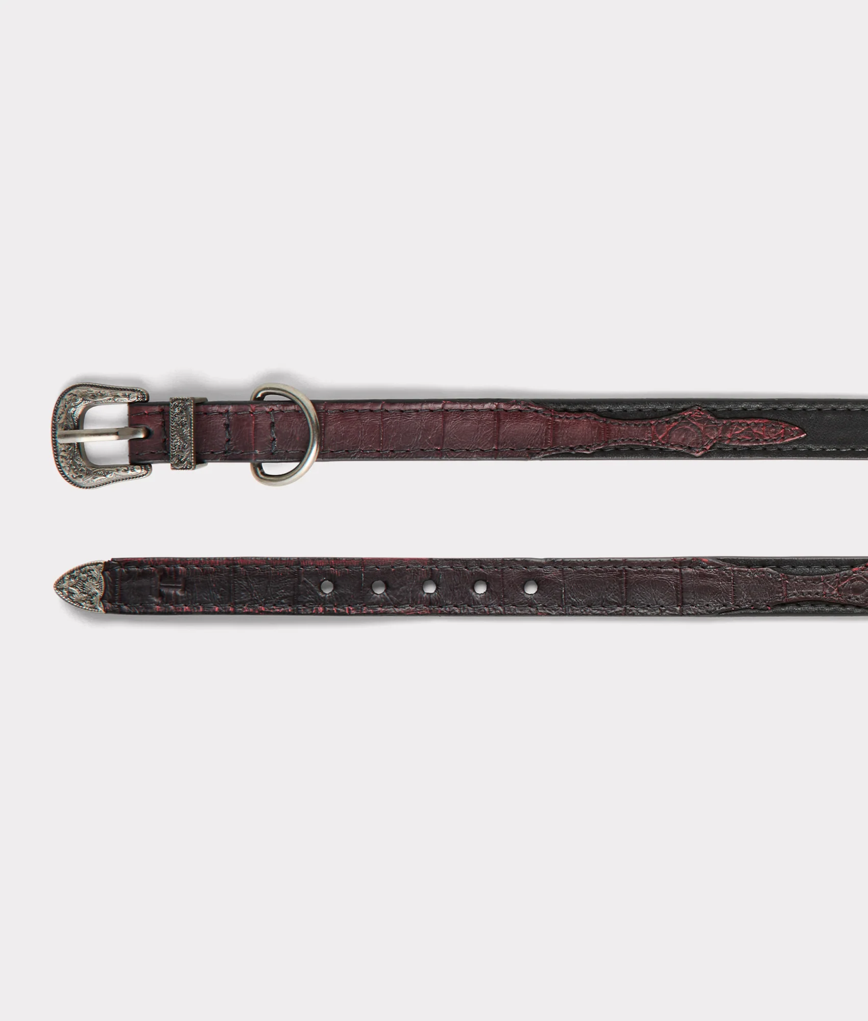Exotic Dog Collar :: Black Cherry - Image 10