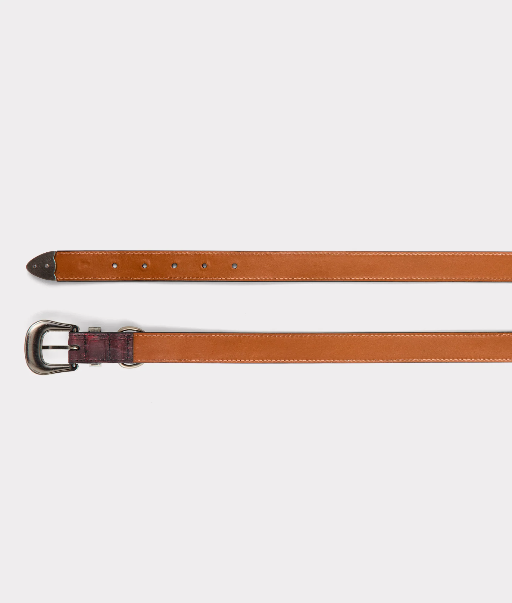 Exotic Dog Collar :: Black Cherry - Image 4