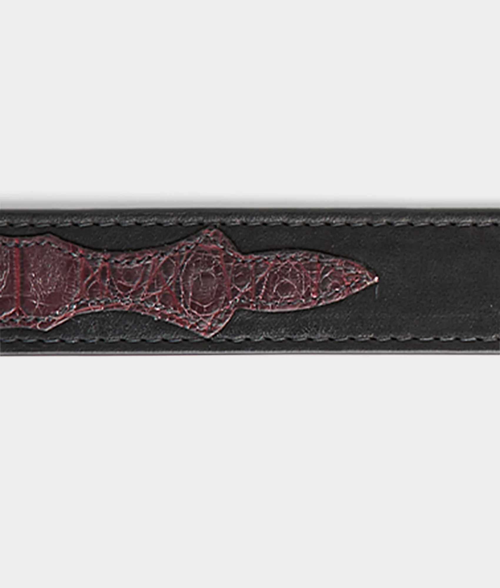 Exotic Dog Collar :: Black Cherry - Image 5