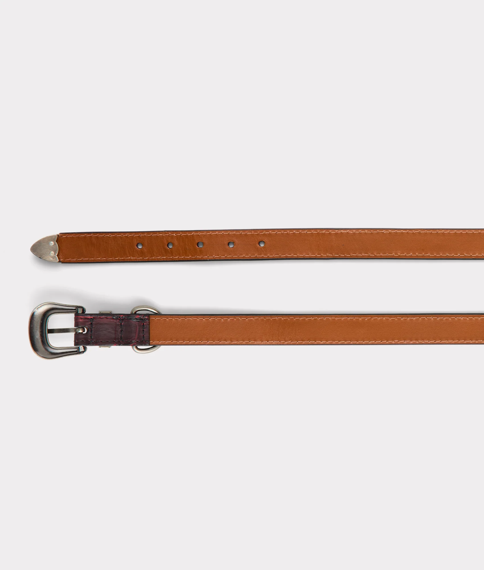 Exotic Dog Collar :: Black Cherry - Image 6
