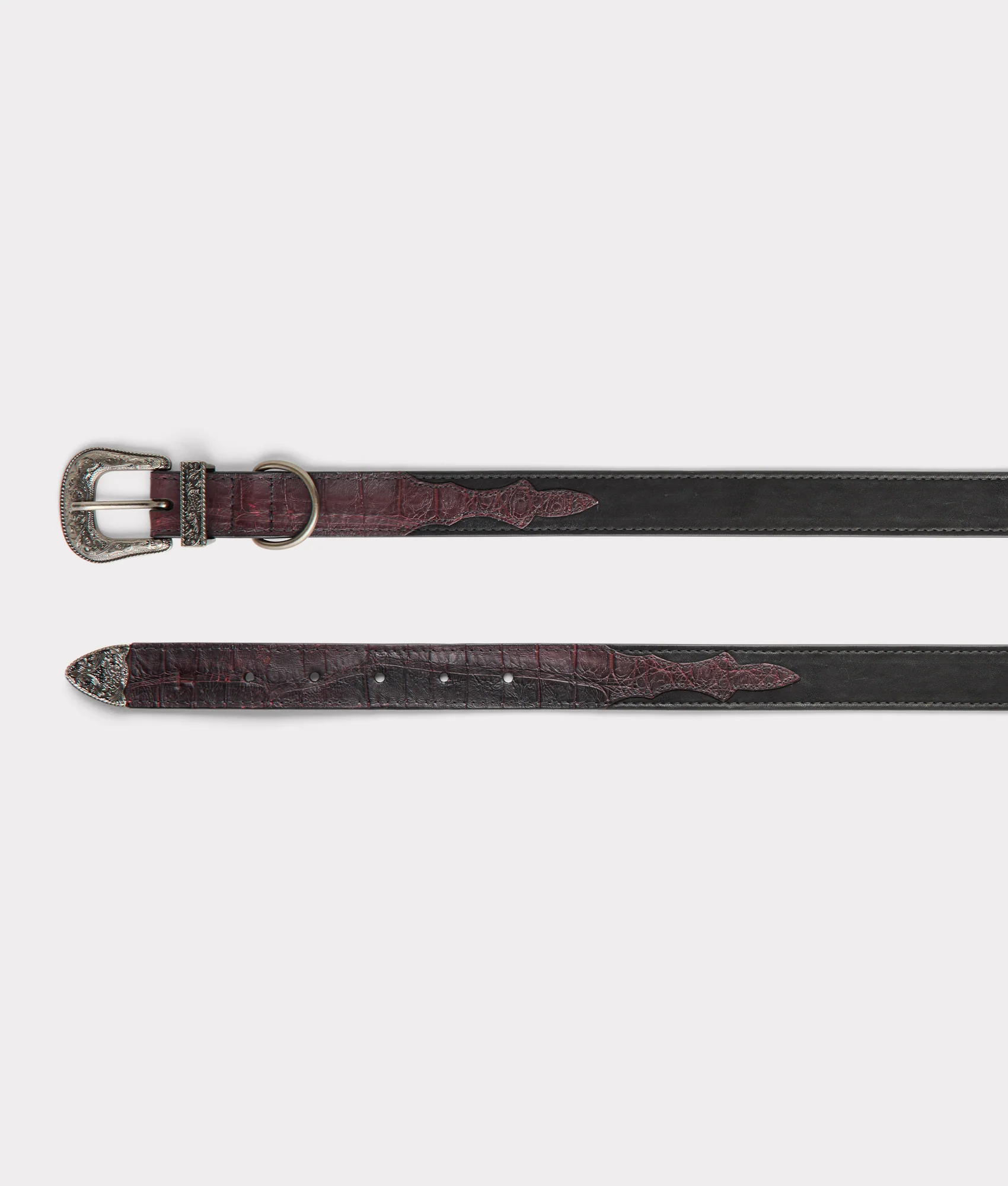 Exotic Dog Collar :: Black Cherry - Image 8