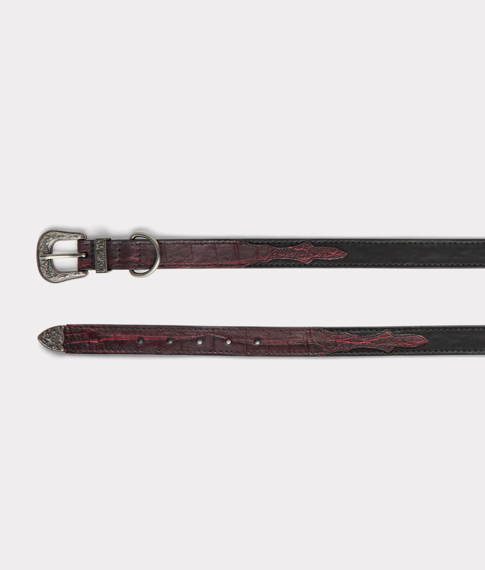 Exotic Dog Collar :: Black Cherry - Image 9
