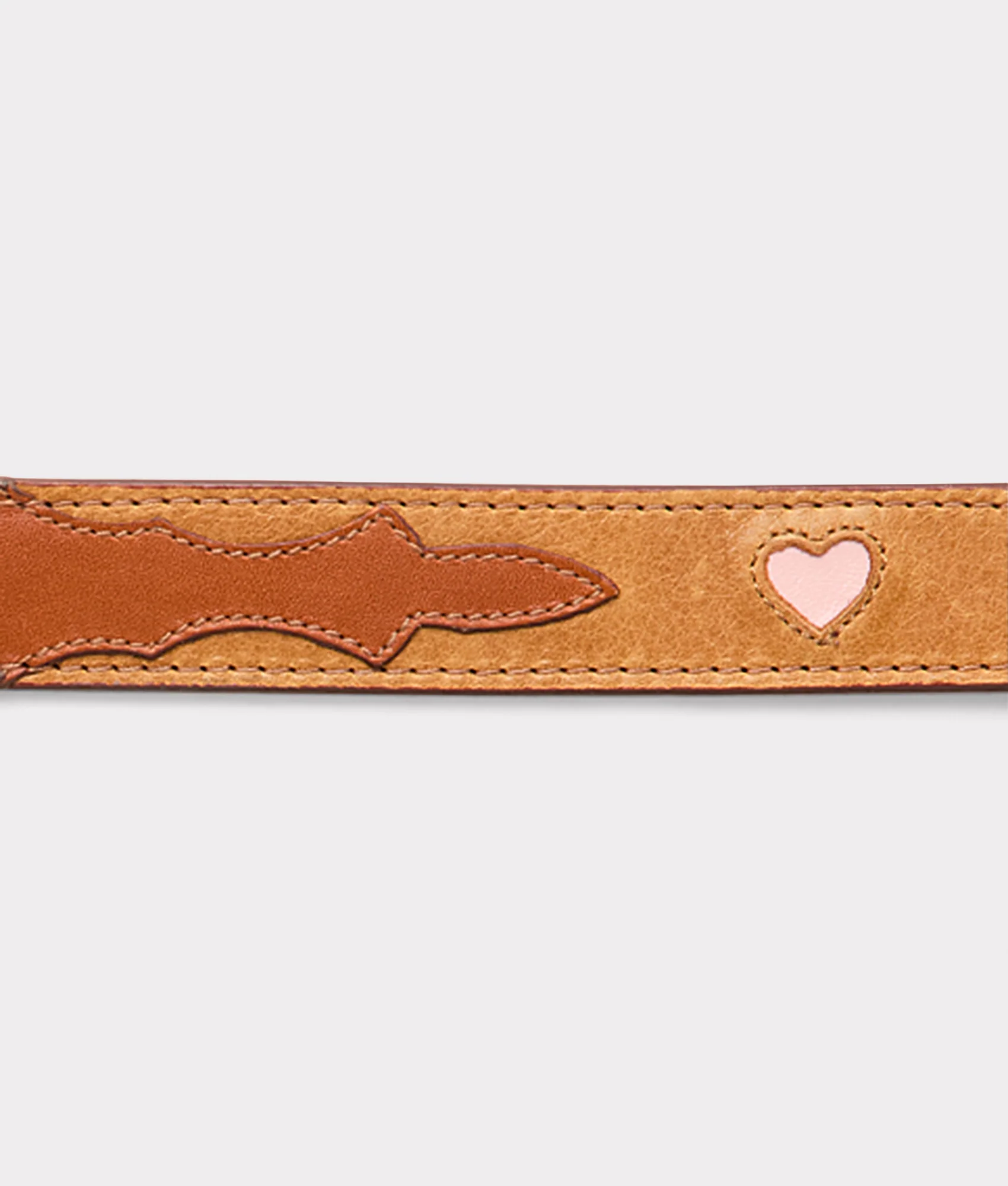 Large Dog Collar :: Tan - Image 2