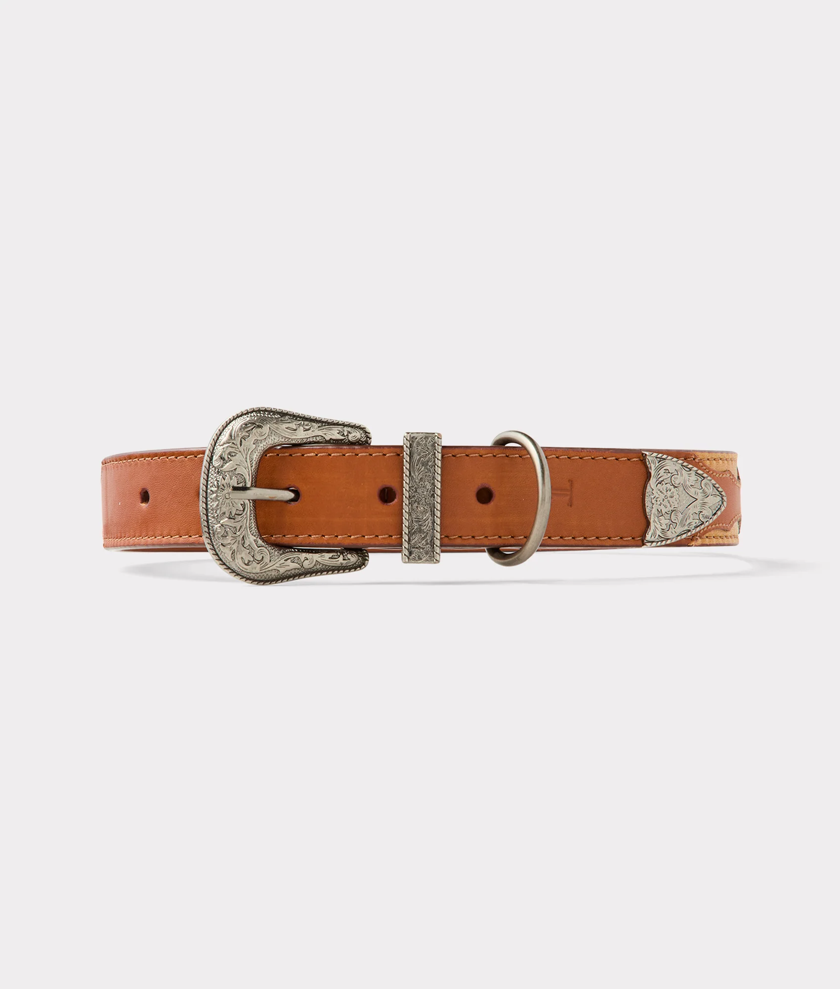Large Dog Collar :: Tan - Image 3
