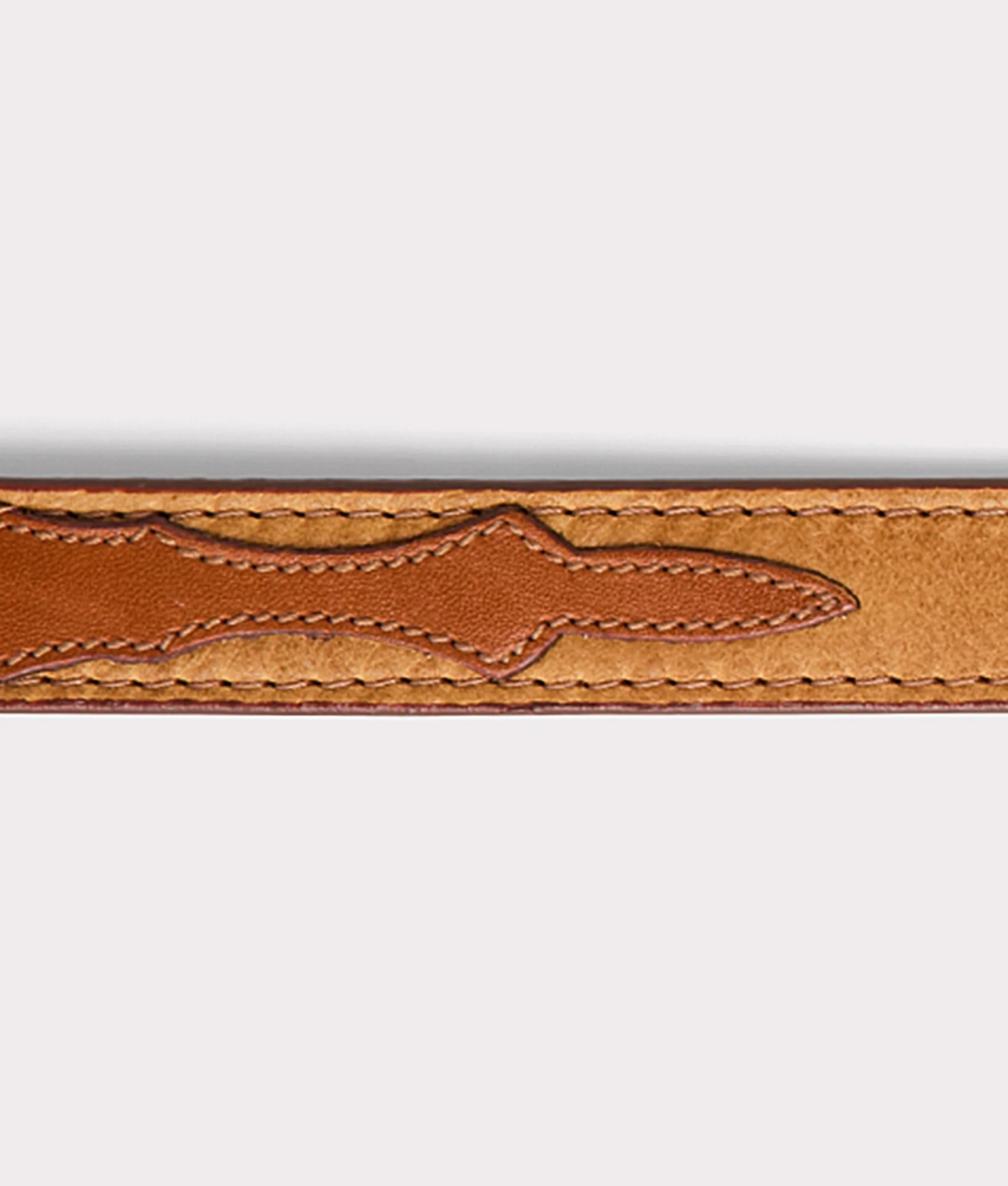 Large Dog Collar :: Tan - Image 4