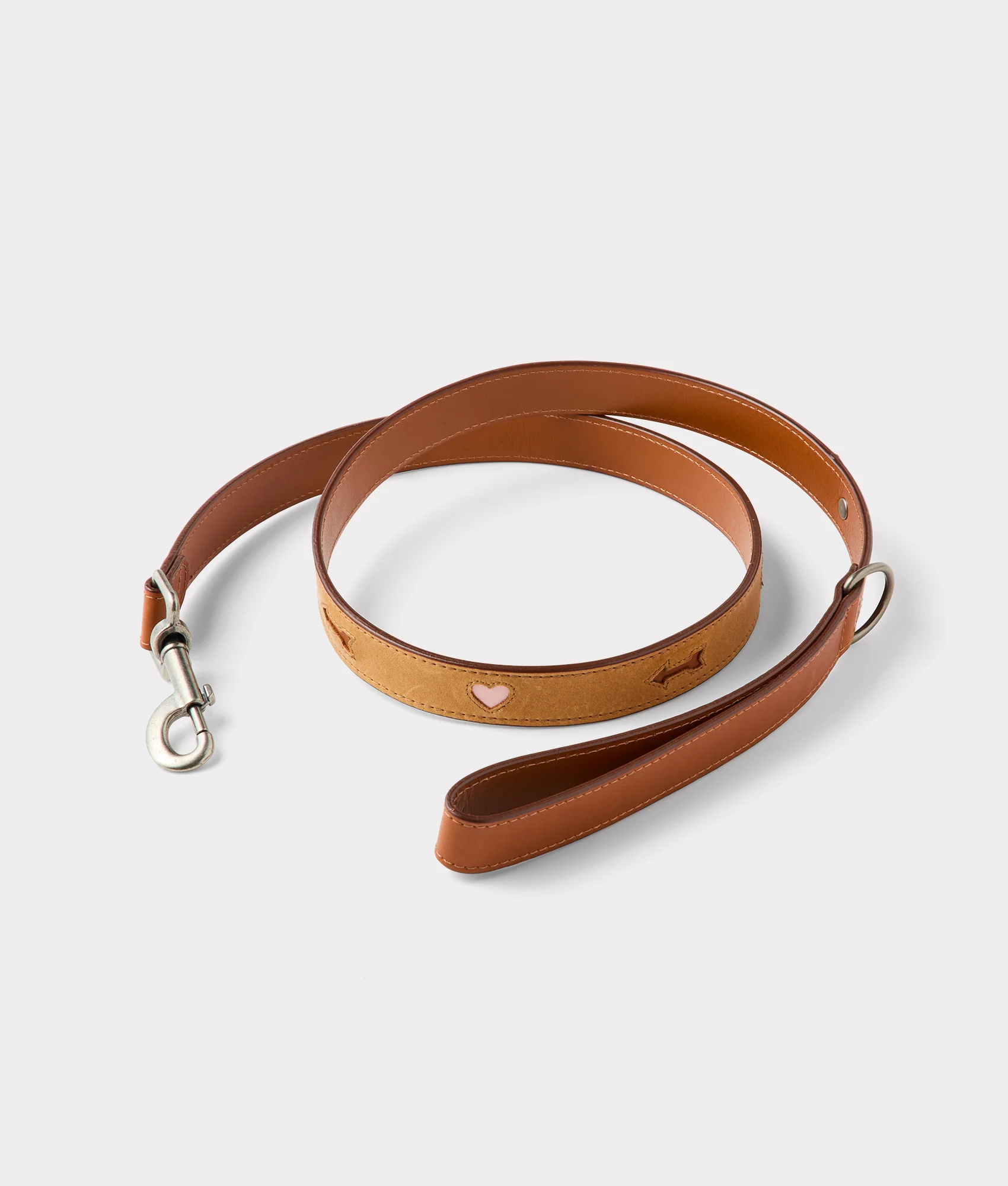 Large Dog Collar :: Tan - Image 5