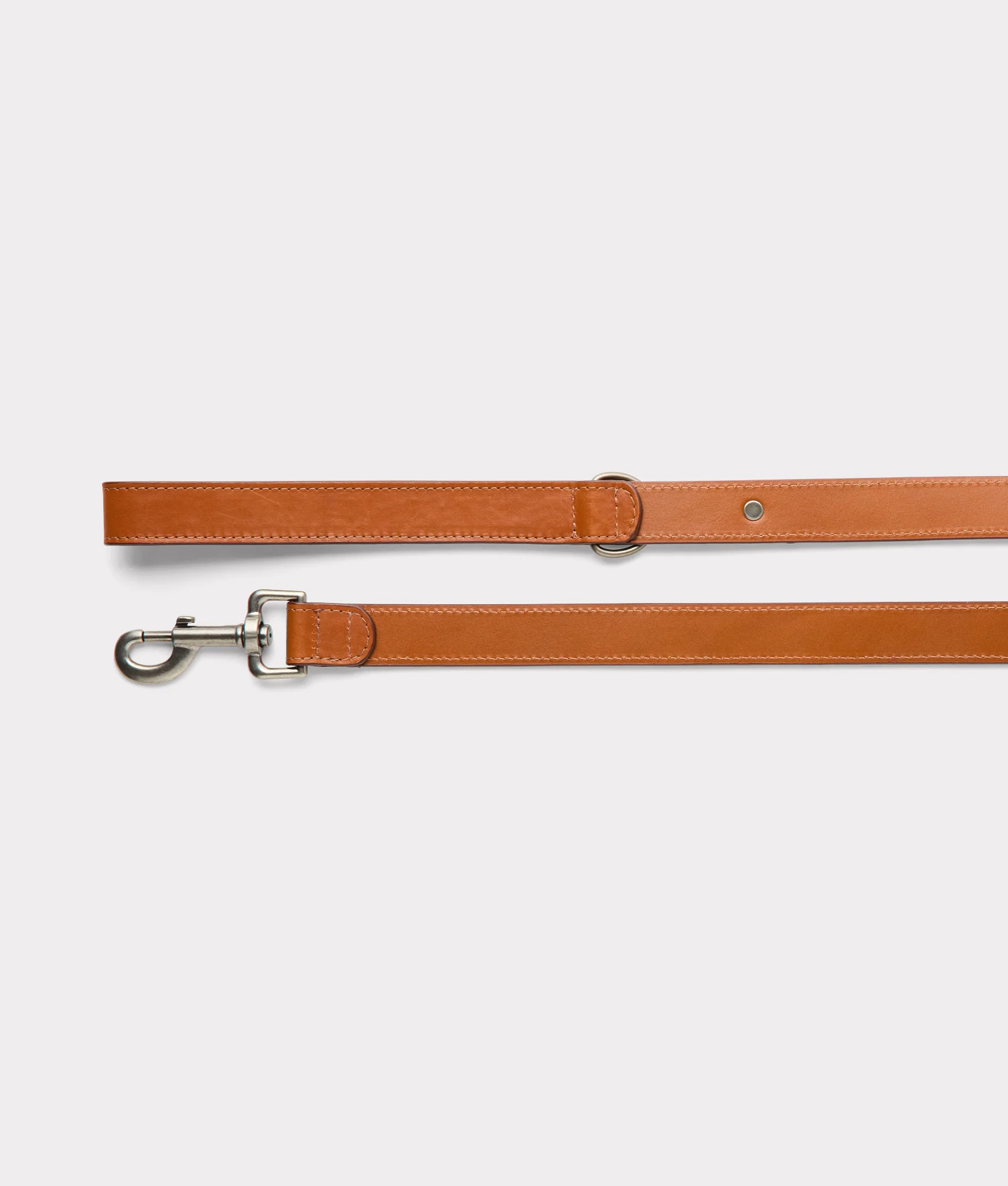 Large Dog Collar :: Tan - Image 7