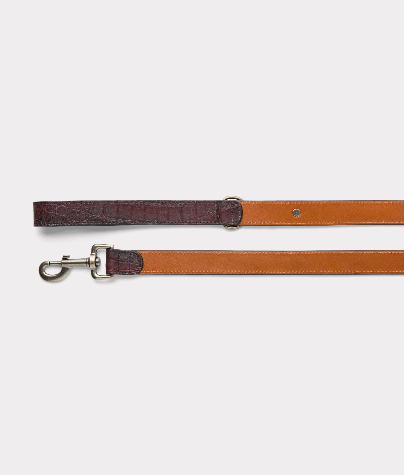 Dog Leash :: Black Cherry - Image 2