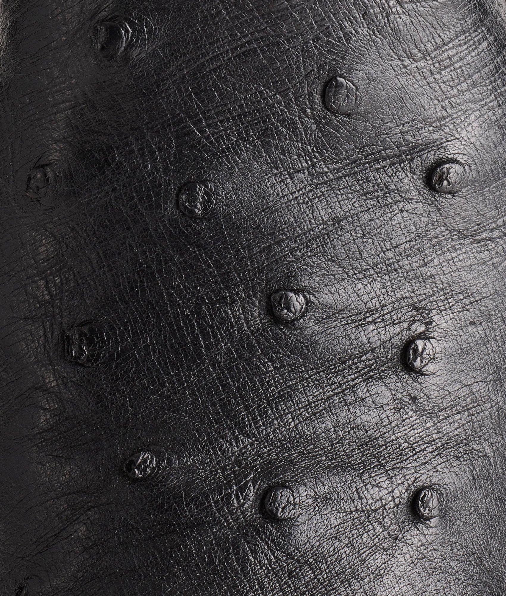 Randall :: Black + Cognac - Image 16