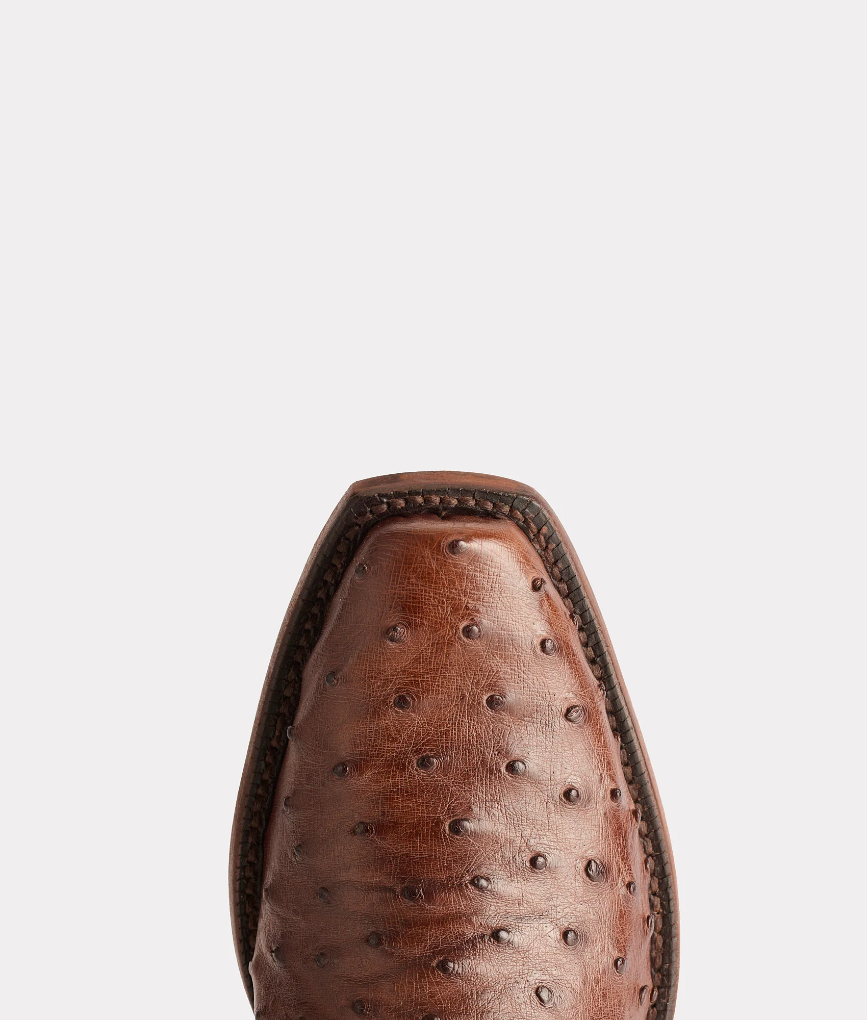 Randall :: Sienna + Pecan - Image 15