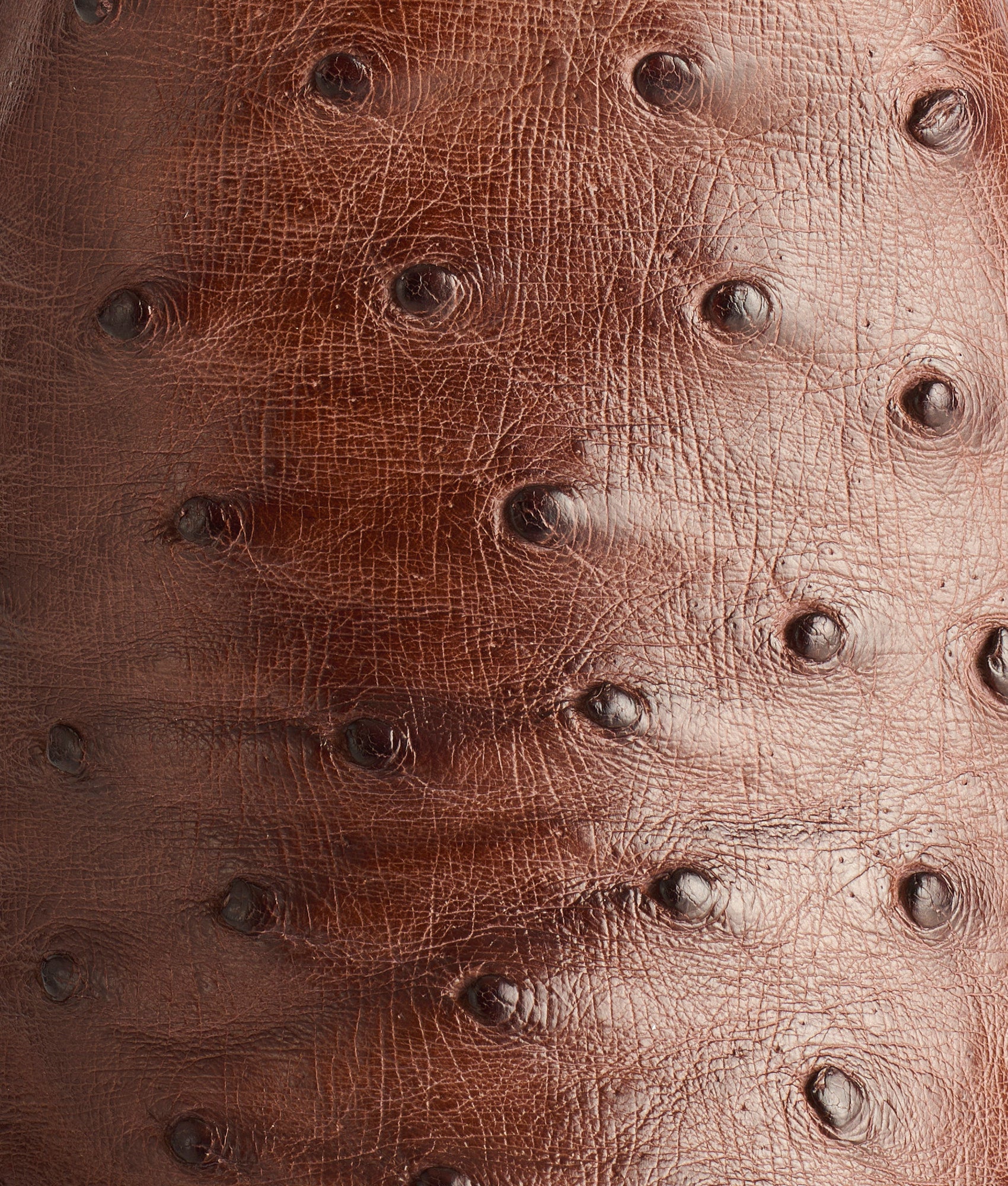 Randall :: Sienna + Pecan - Image 16