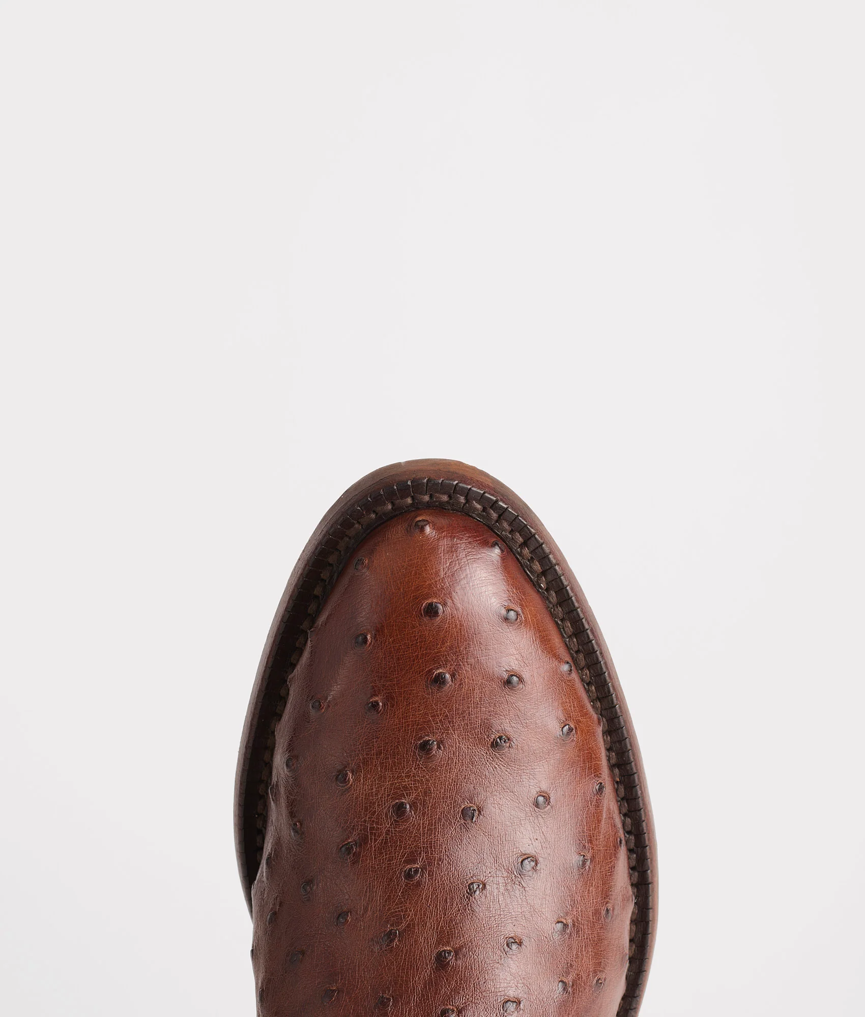 Randall :: Sienna + Pecan - Image 7