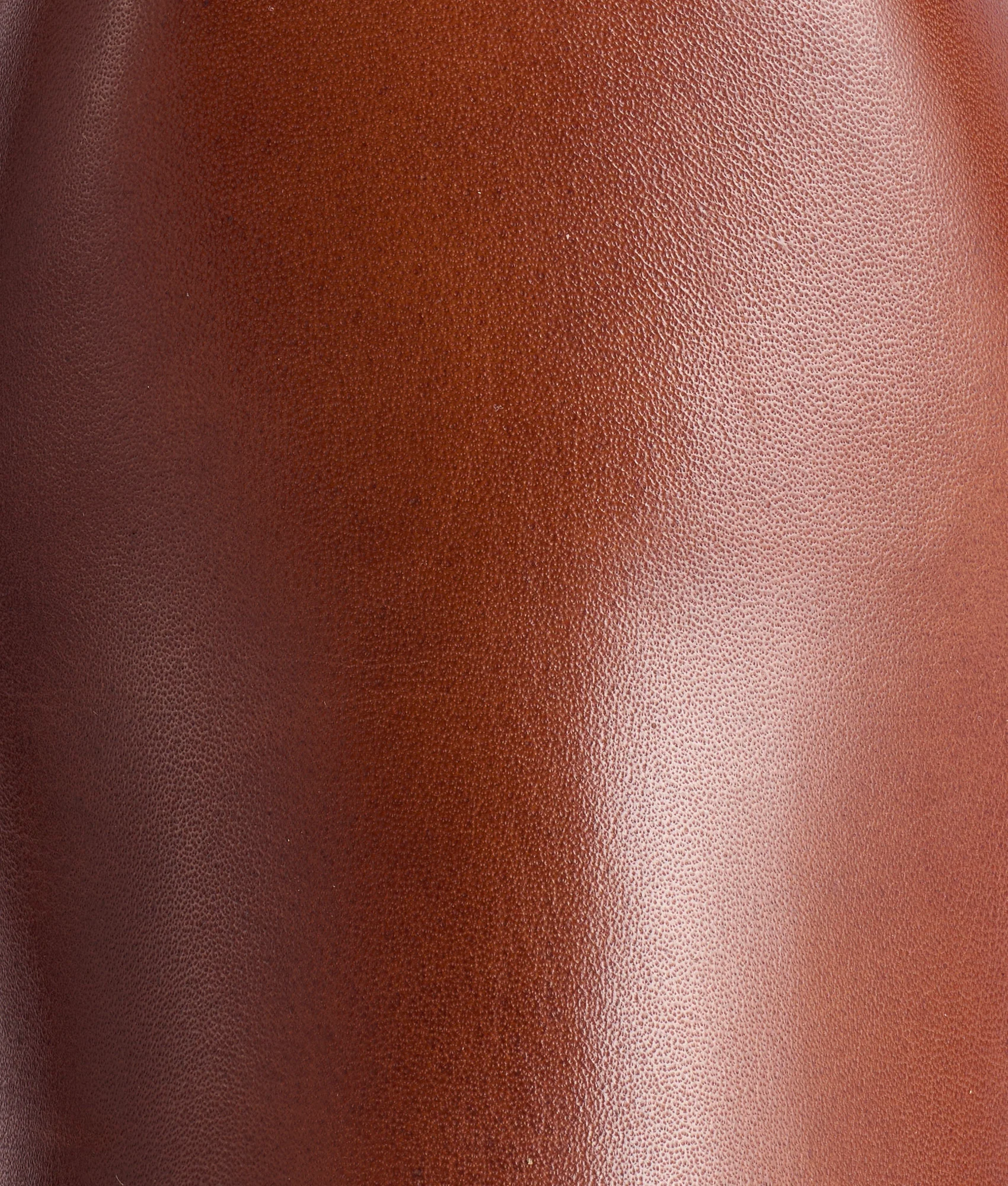 Ranger :: Tan - Image 7